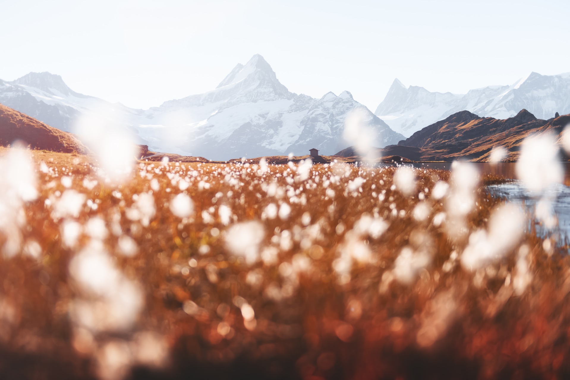 Rispetto dei suoli: una spettacolare immagine del Bachalpsee al First sopra Grindelwald nell'Oberland bernese