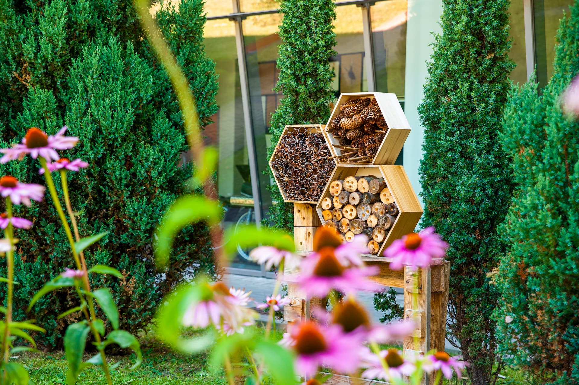 Biodiversity: cities can become friends with pollinating insects, so as to promote biodiversity in the area: bug hotels or bee houses are a great way to give rest and shelter to these precious insects (Photo: dies-Irae/iStock)