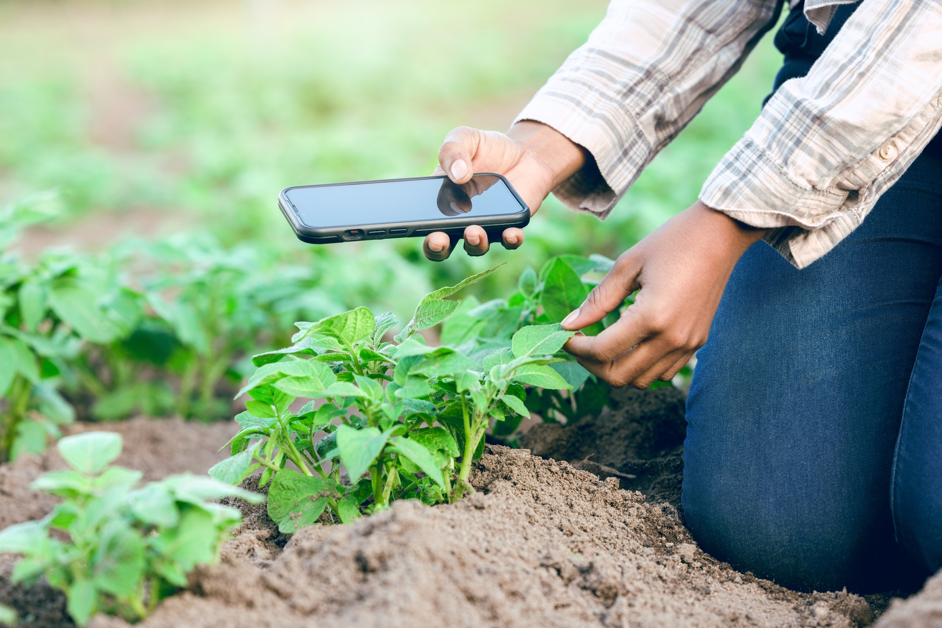 टिकाऊ स्मार्टफोन: मोबाइल फोन का प्रसार और इन प्रौद्योगिकियों तक समान पहुंच वास्तव में संयुक्त राष्ट्र संगठन द्वारा स्थापित सतत विकास लक्ष्यों को प्राप्त करने के करीब पहुंचने के लिए एक शक्तिशाली उपकरण हो सकता है।