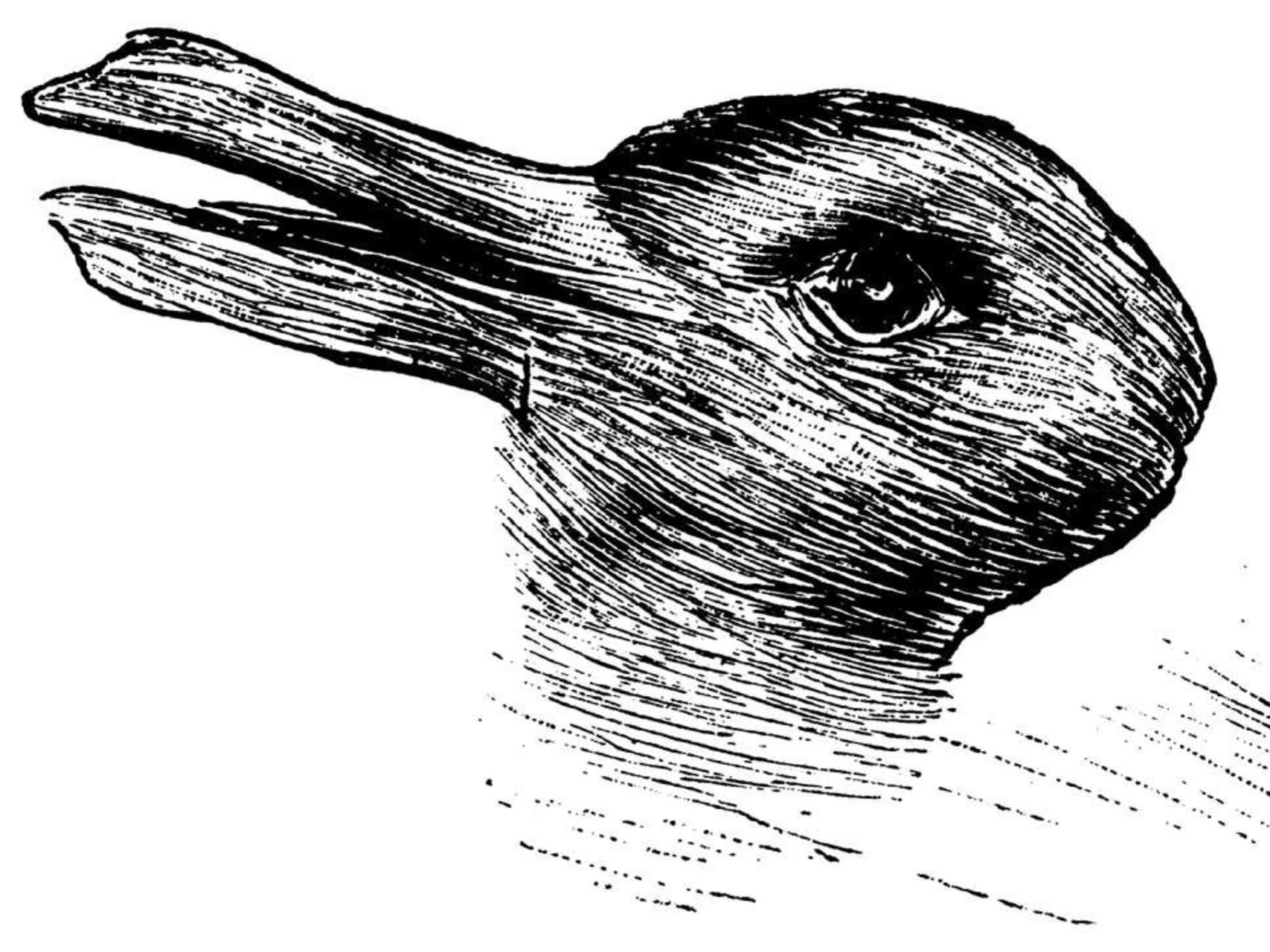 ChatGPT: l’illusione ottica creata dallo psicologo Joseph Jastrow nel 1892 è stata oggetto di molte riflessioni filosofiche e ancora fa discutere: a seconda del punto di vista, si può vedere un’anatra o un coniglio