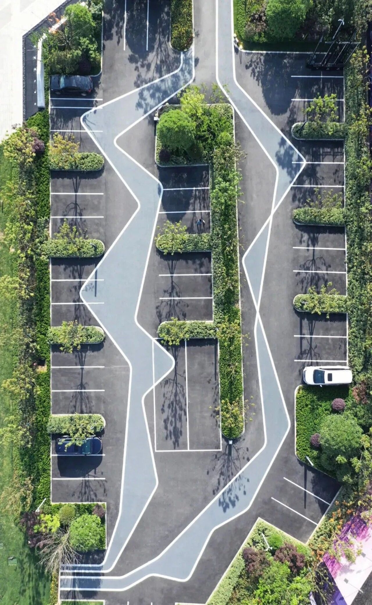 Alberi e piante: un esempio di parcheggio paesaggistico proveniente dalla Cina