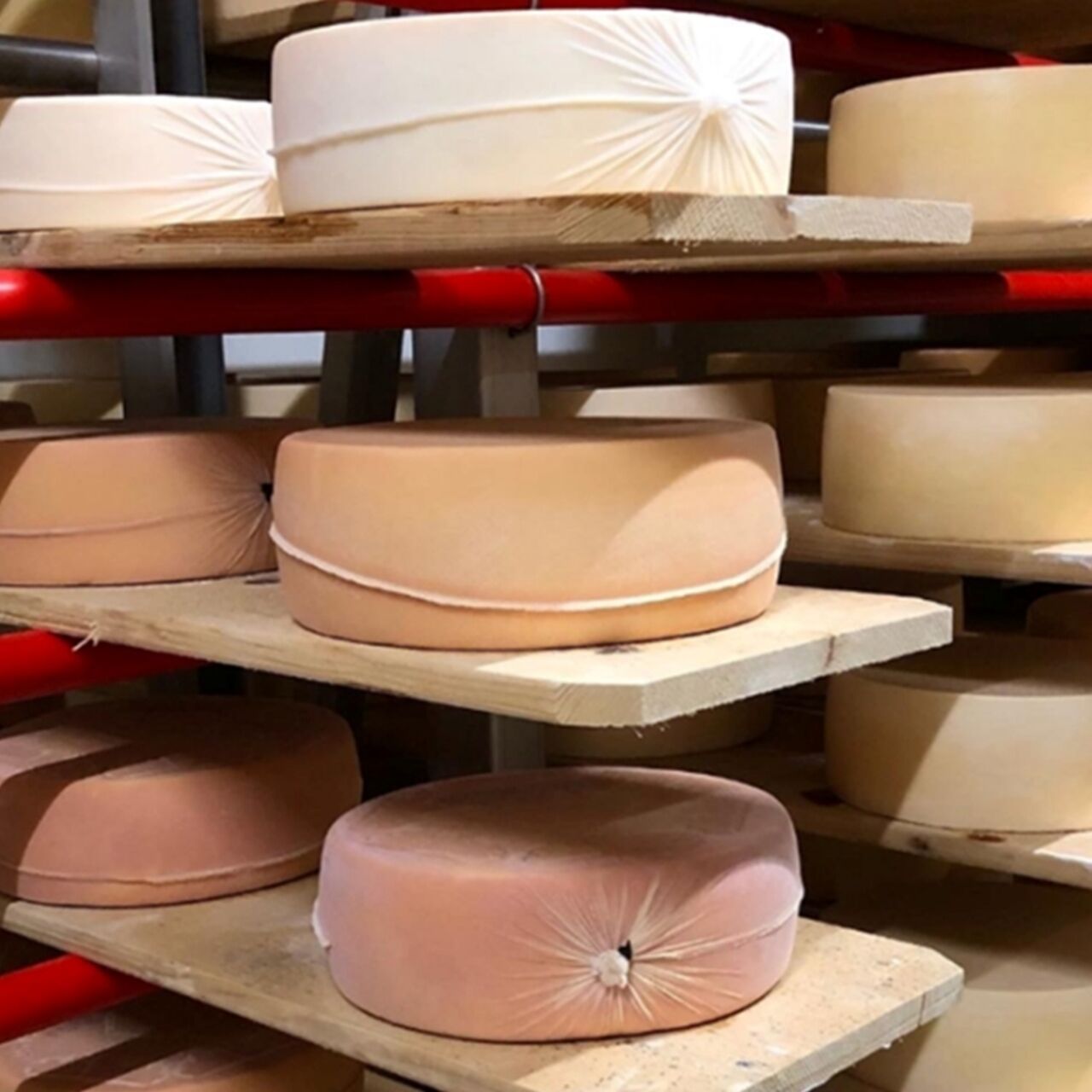Formaggio: formaggi appena confezionati con la stagionatura fino a tre mesi e incartati con la nuova tecnica elaborata da Agroscope in Svizzera