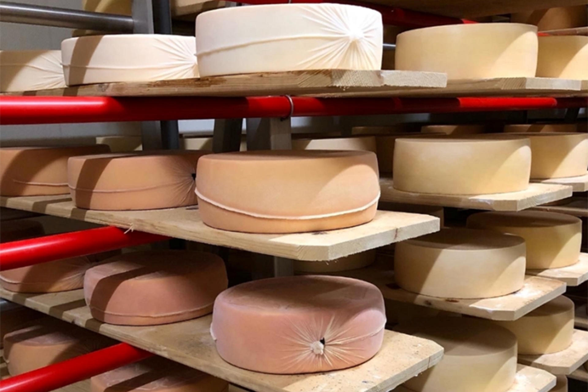 Formatge: formatges acabats d'envasar envellits fins a tres mesos i embolicats amb la nova tècnica desenvolupada per Agroscope a Suïssa.