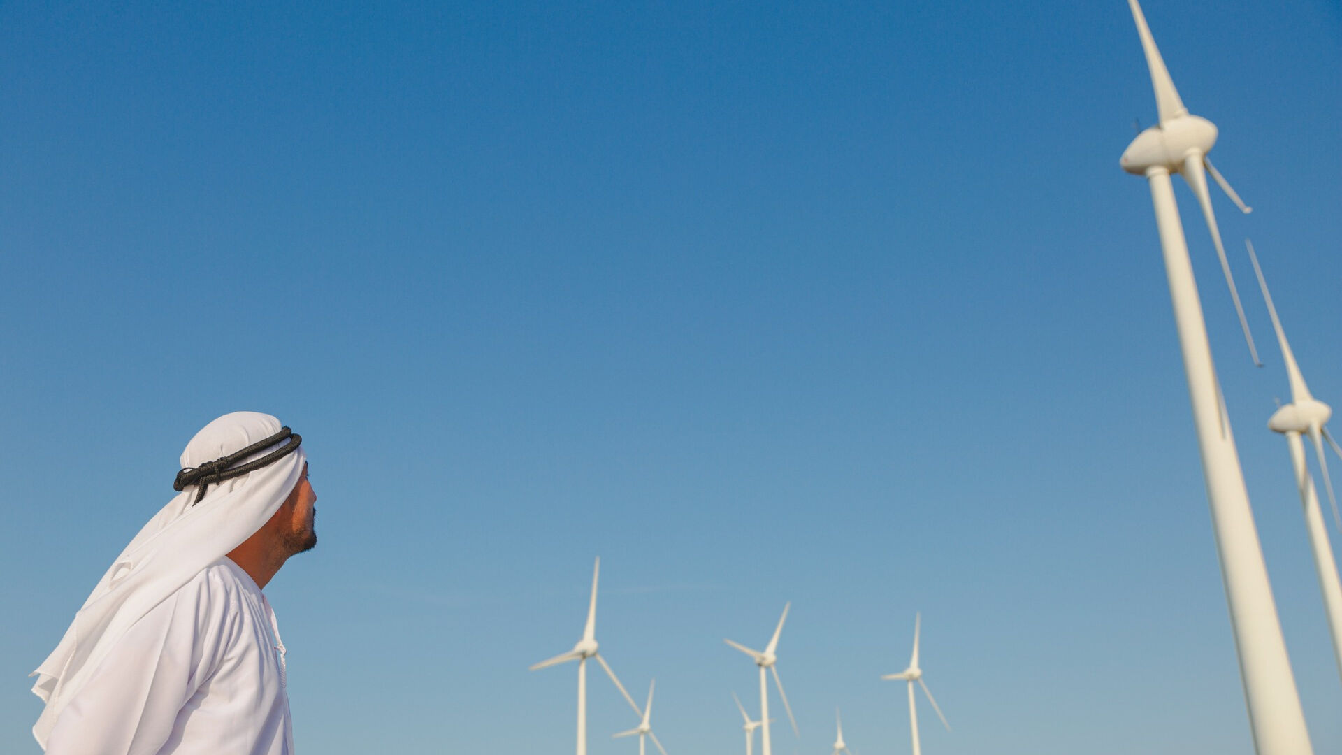 可持续性：沙漠中的风电场