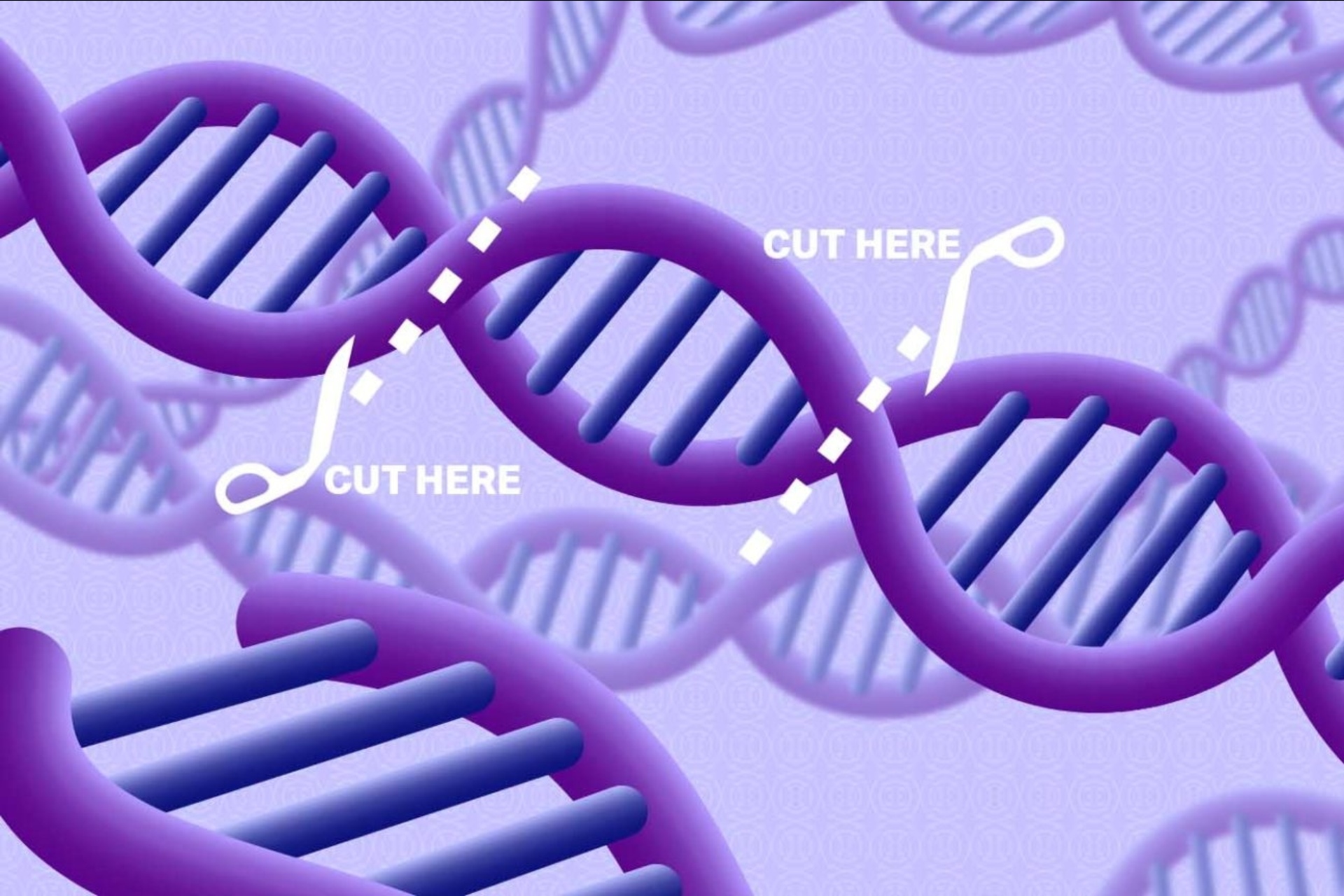 Riparazioni genetiche: a differenza delle forbici genetiche convenzionali, il Prime Editing non taglia e ripara entrambi i filamenti della molecola di DNA, ma soltanto uno.