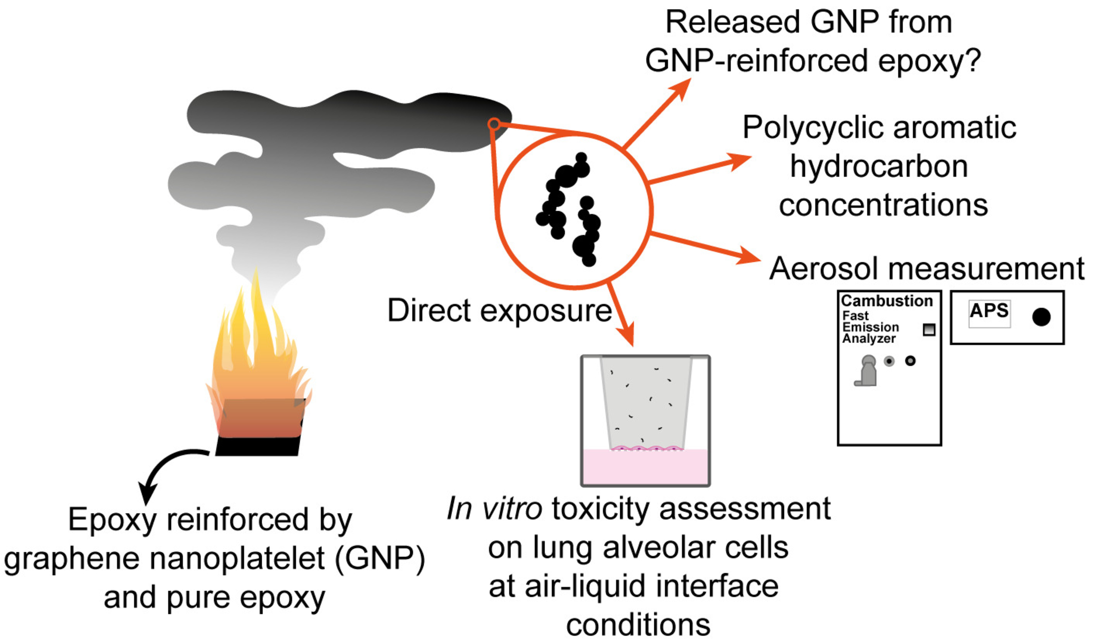 Graphene: đồ họa thông tin về việc sản xuất cặn do đốt trong lò đốt rác thải hoặc trong trường hợp xảy ra tai nạn, có thể gây ra tác dụng độc hại đối với tế bào phổi (bằng tiếng Anh)