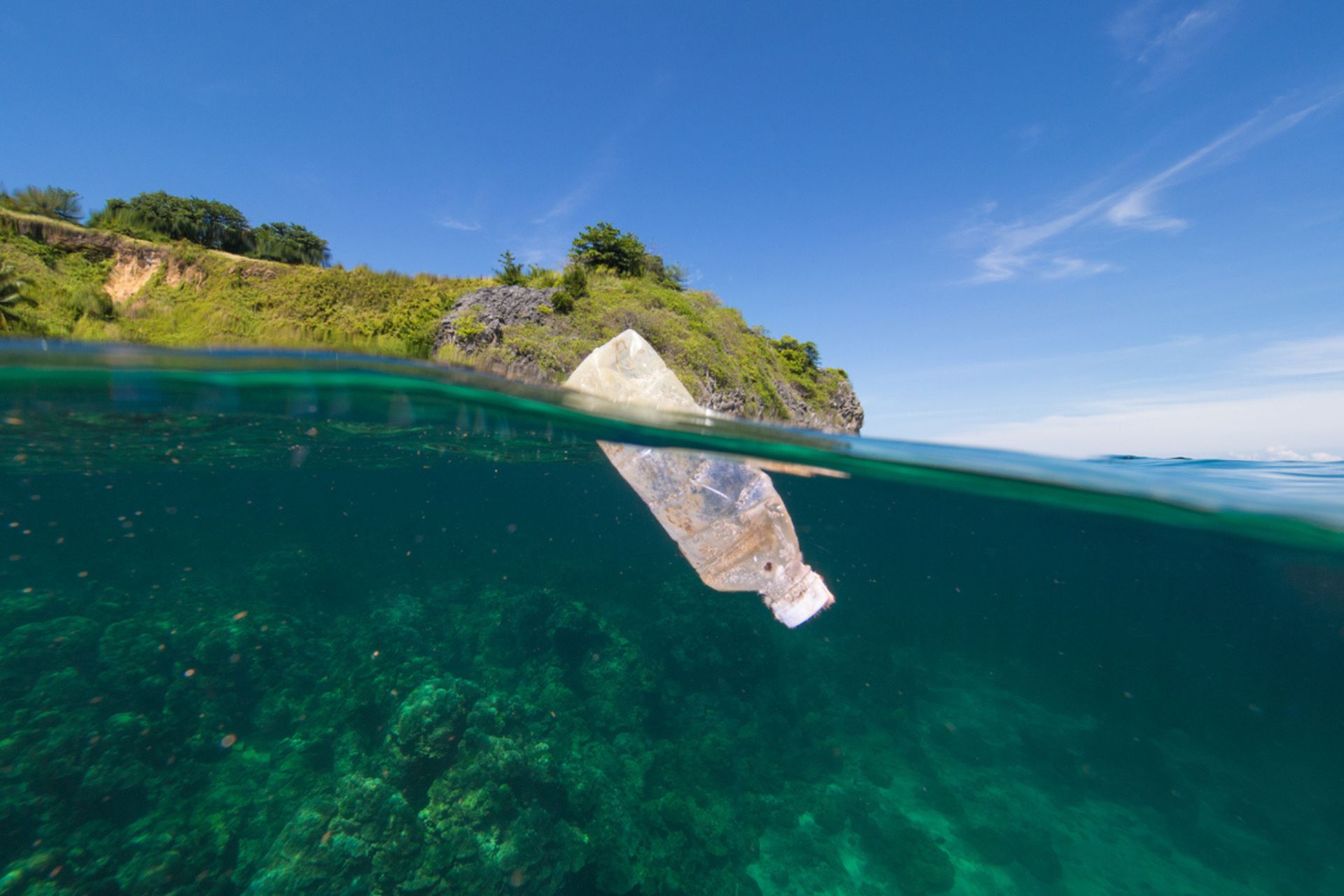 Inquinamento: Bottiglia di plastica che galleggia in mare