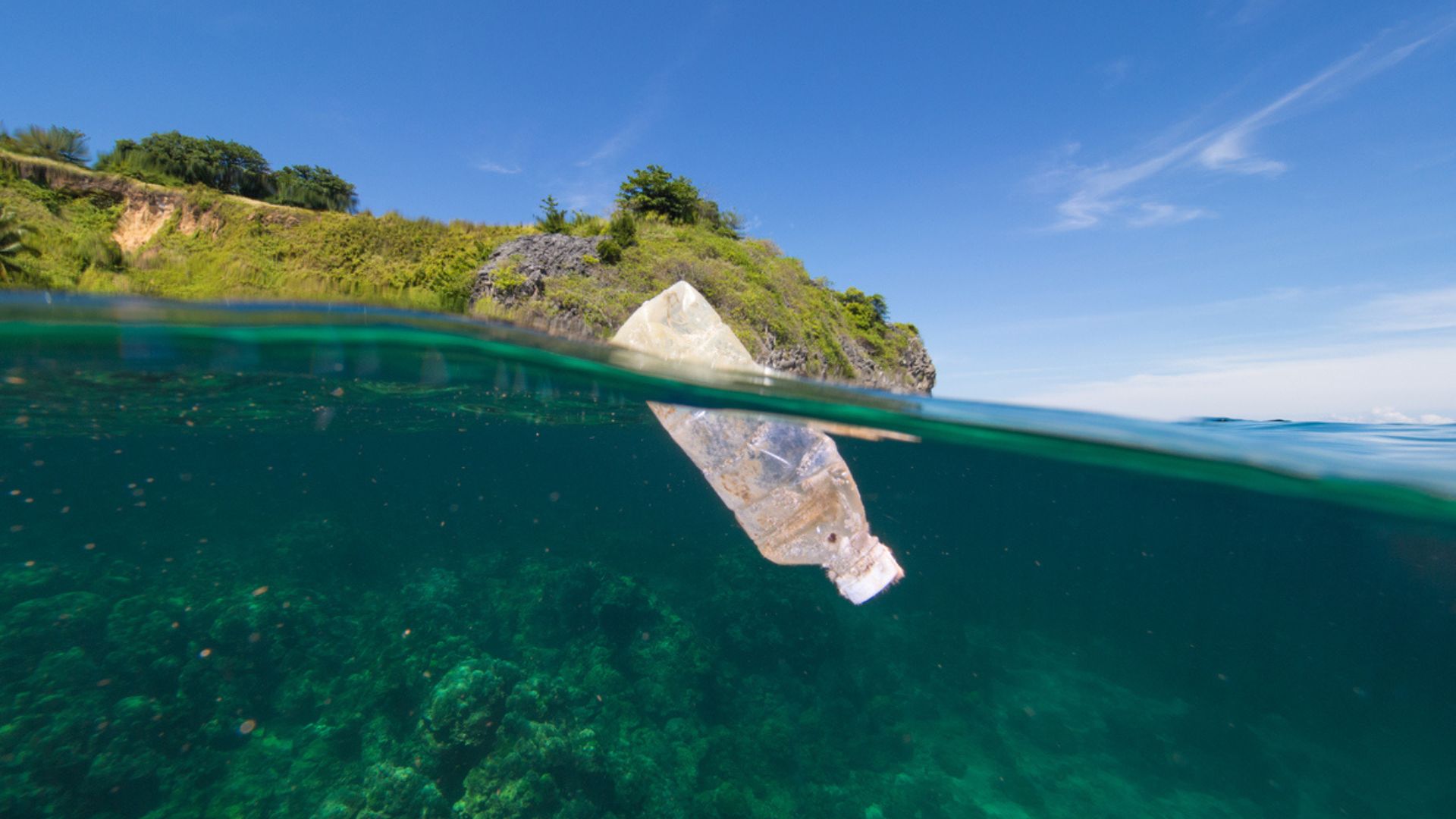 Inquinamento: Bottiglia di plastica che galleggia in mare