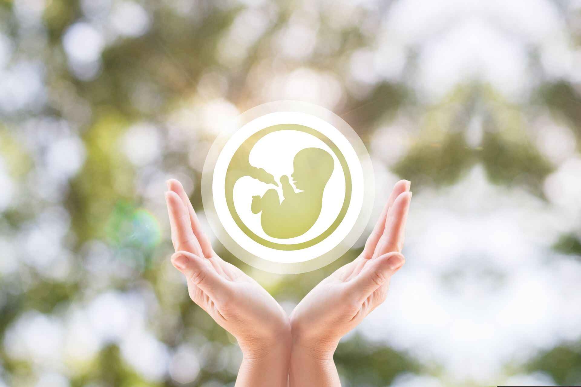 Gravidanza: il primo trimestre di gravidanza è fondamentale per la crescita dell’embrione