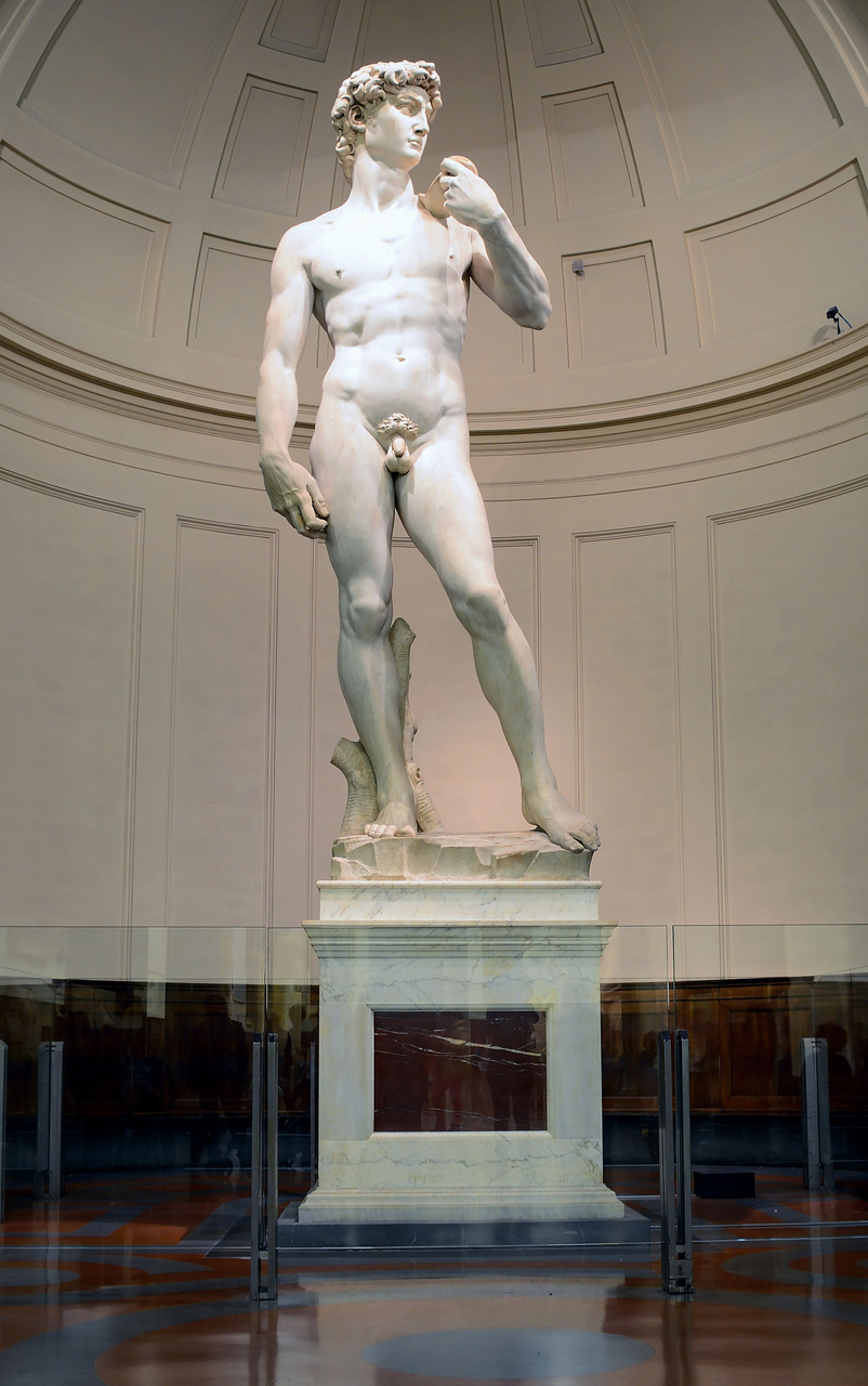Facebook: il David di Michelangelo, ultimamente coinvolto, suo malgrado, in una polemica sulla Rete a seguito di una vicenda negli USA