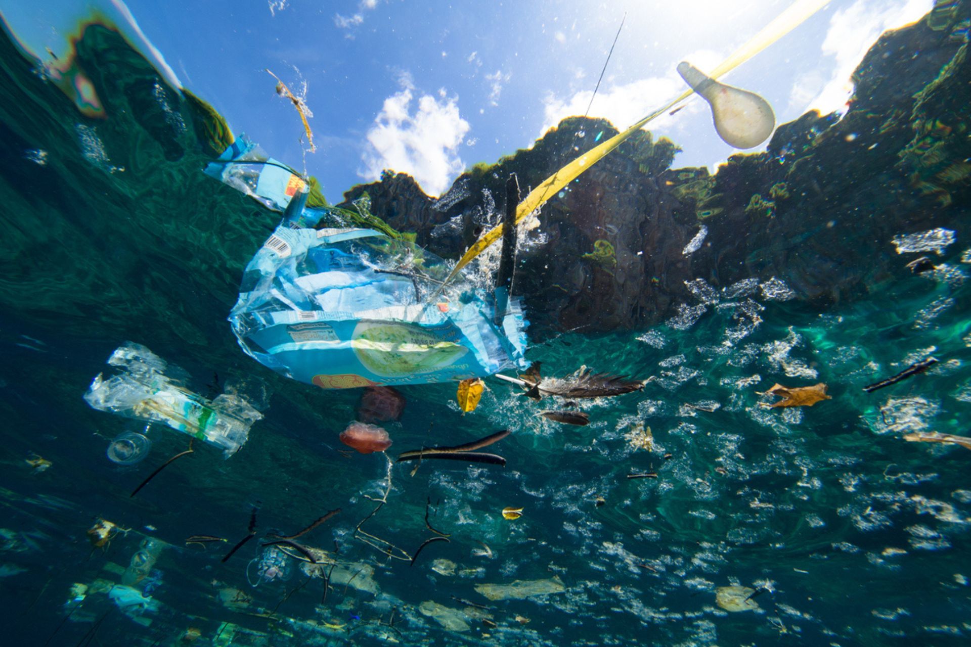 plastica: Plastica nel mare