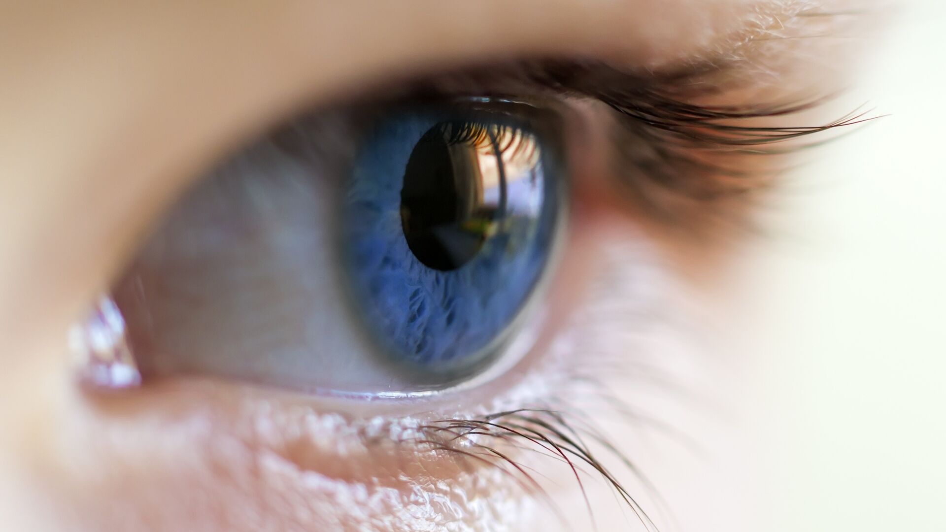 Occhio: il bulbo oculare è l'organo di senso esterno dell'apparato visivo, che ha il compito di ricavare informazioni sull'ambiente circostante attraverso la luce: in Svizzera i ricercatori dell’Istituto Paul Scherrer hanno decifrato gli istantanei processi molecolari che si verificano nell'occhio quando la luce colpisce la retina