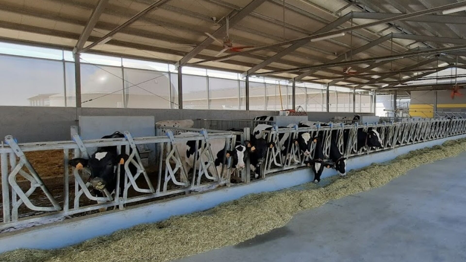 Smart farm: l'emiliana Risaia del Duca è anche un laboratorio a cielo aperto per lo sviluppo di tecnologie di valorizzazione dei reflui zootecnici e dei residui della produzione di biogas