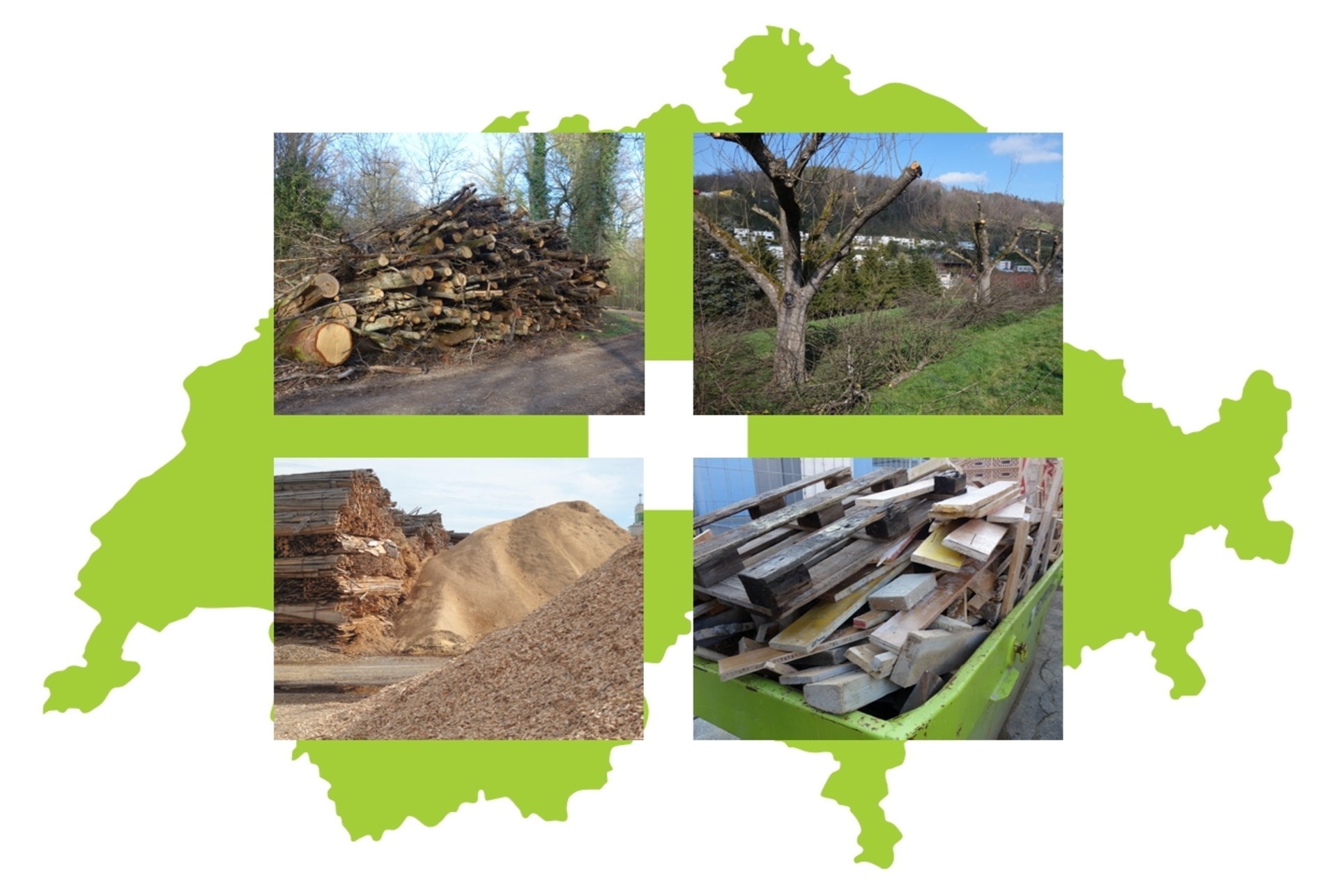 Legno: l'obiettivo del “Libro Bianco" è quello di fornire ai decisori politici gli attuali risultati della ricerca, al fine di promuovere l'uso ottimale della bioenergia da legno e di altri tipi di biomassa solida