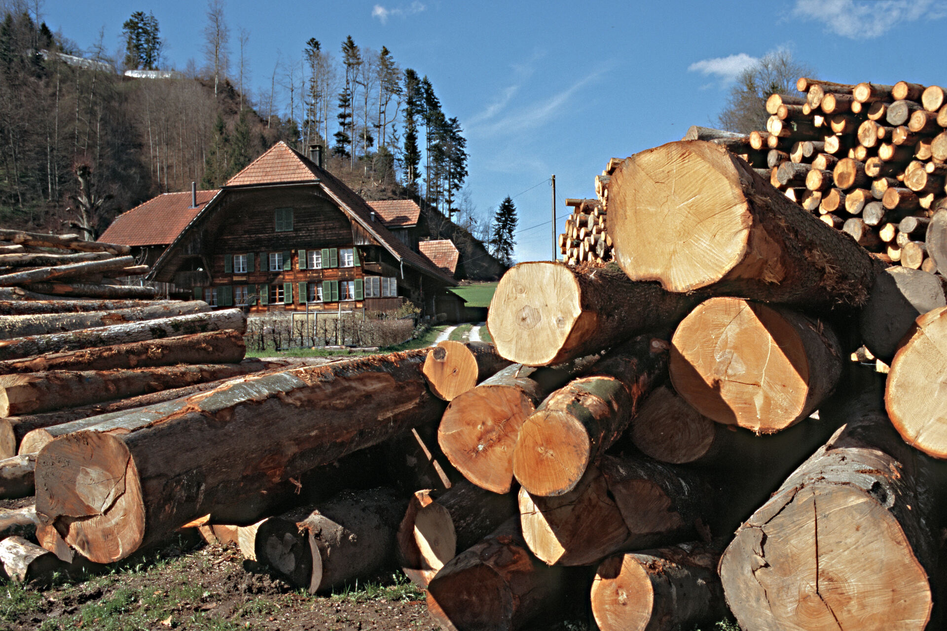 Legno: in una logica di utilizzo a cascata, il legno viene prima impiegato per case, mobili, pannelli di truciolato o materiali isolanti prima di essere successivamente sfruttato come legno da energia
