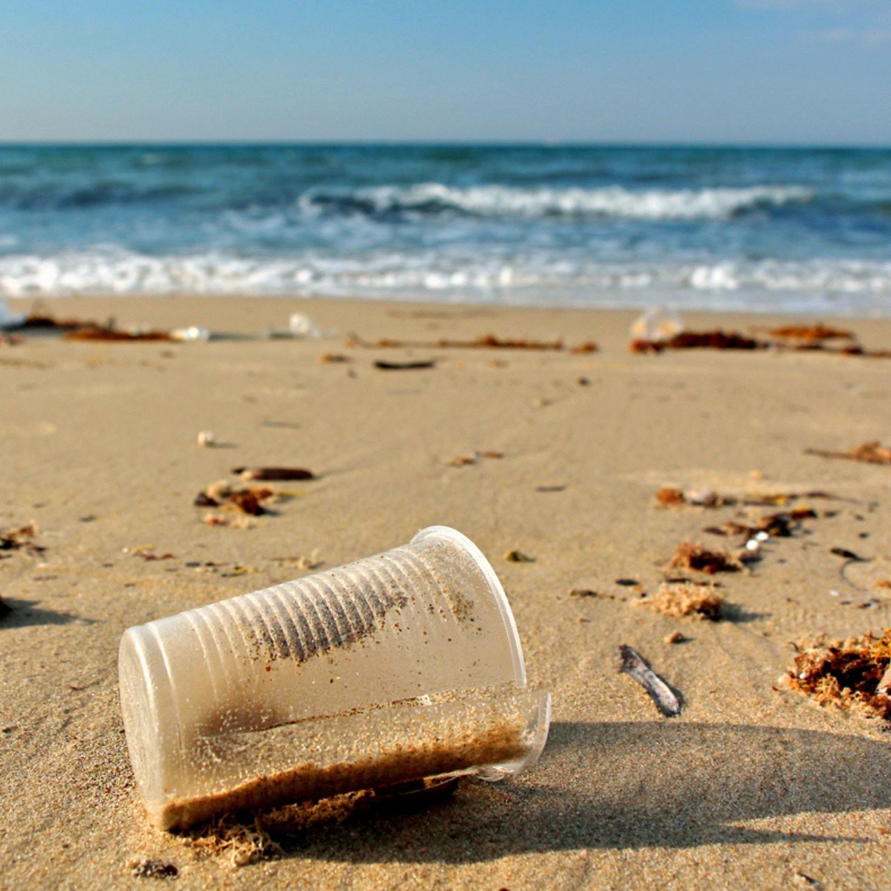 Source to sea: plastica abbandonata sulla spiaggia