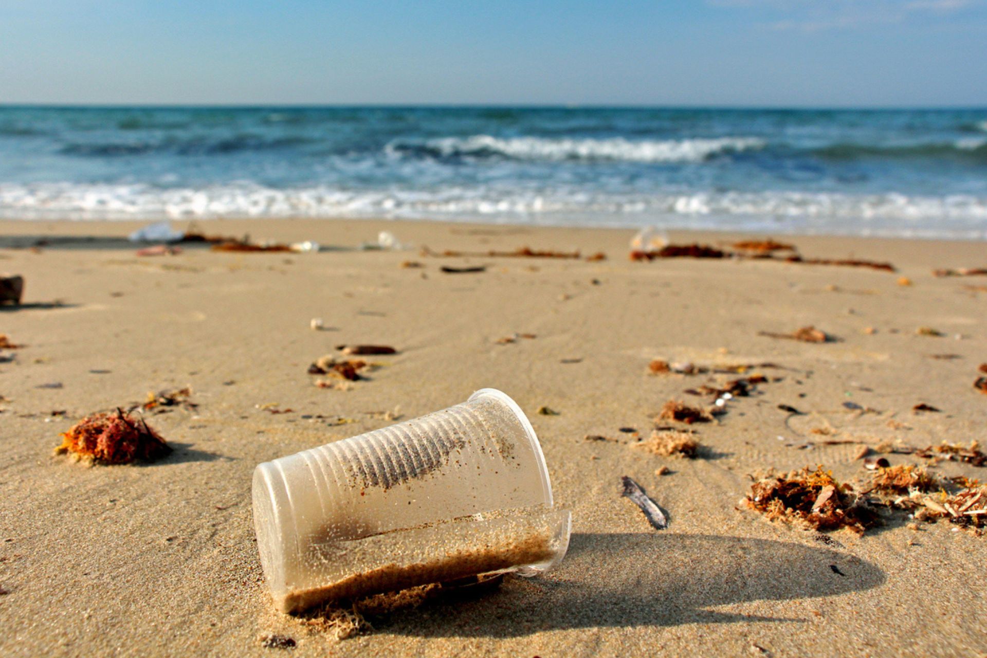 Fonte para o mar: plástico abandonado na praia
