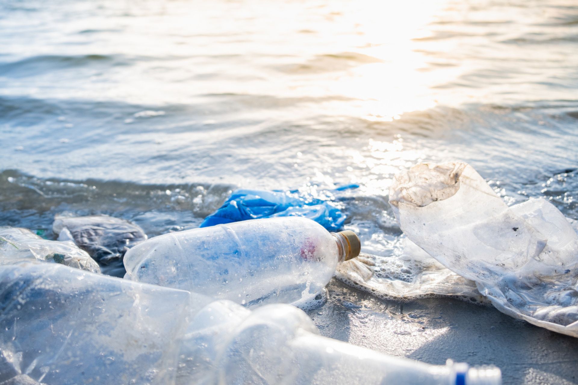 Source to Sea: plastica che inquina il mare