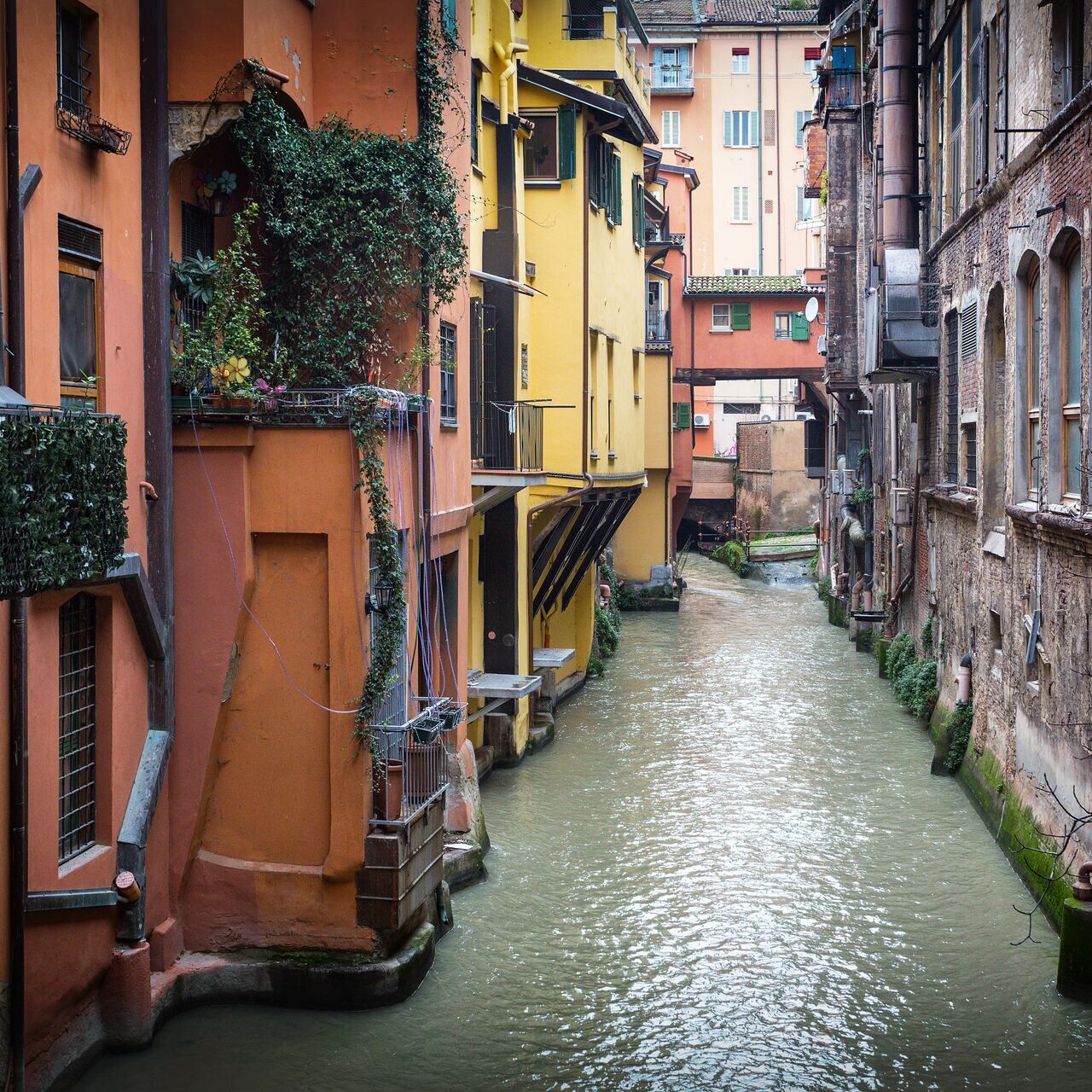 Pioggia: la finestrella di via Piella, affacciata sul Canale delle Moline, è uno dei “luoghi acquatici” più caratteristici del centro di Bologna
