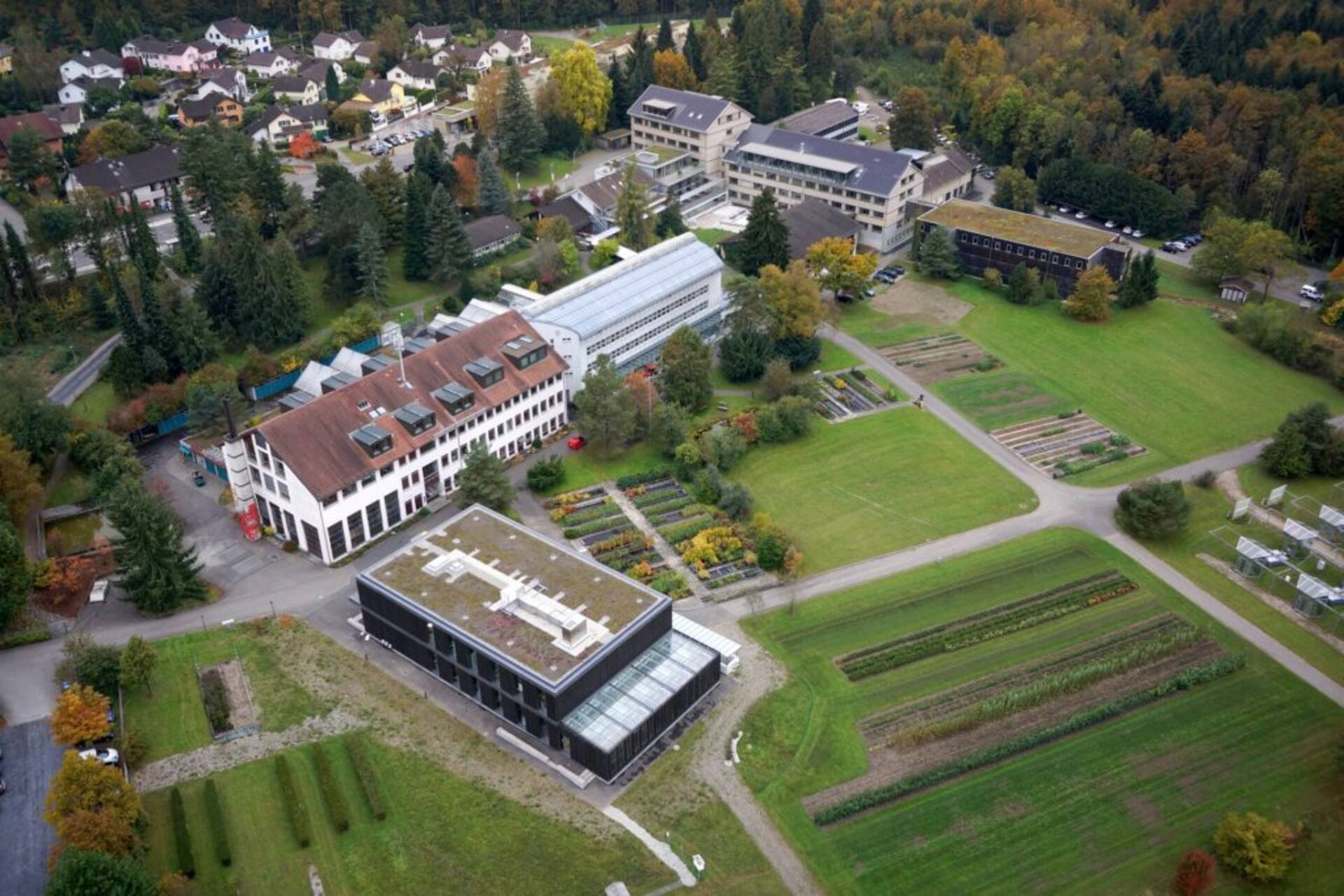 Bosco: la sede dell'Istituto Federale di Ricerca per la Foresta, la Neve e il Paesaggio (WSL) della Confederazione Svizzera a Birmensdorf nel Canton Zurigo