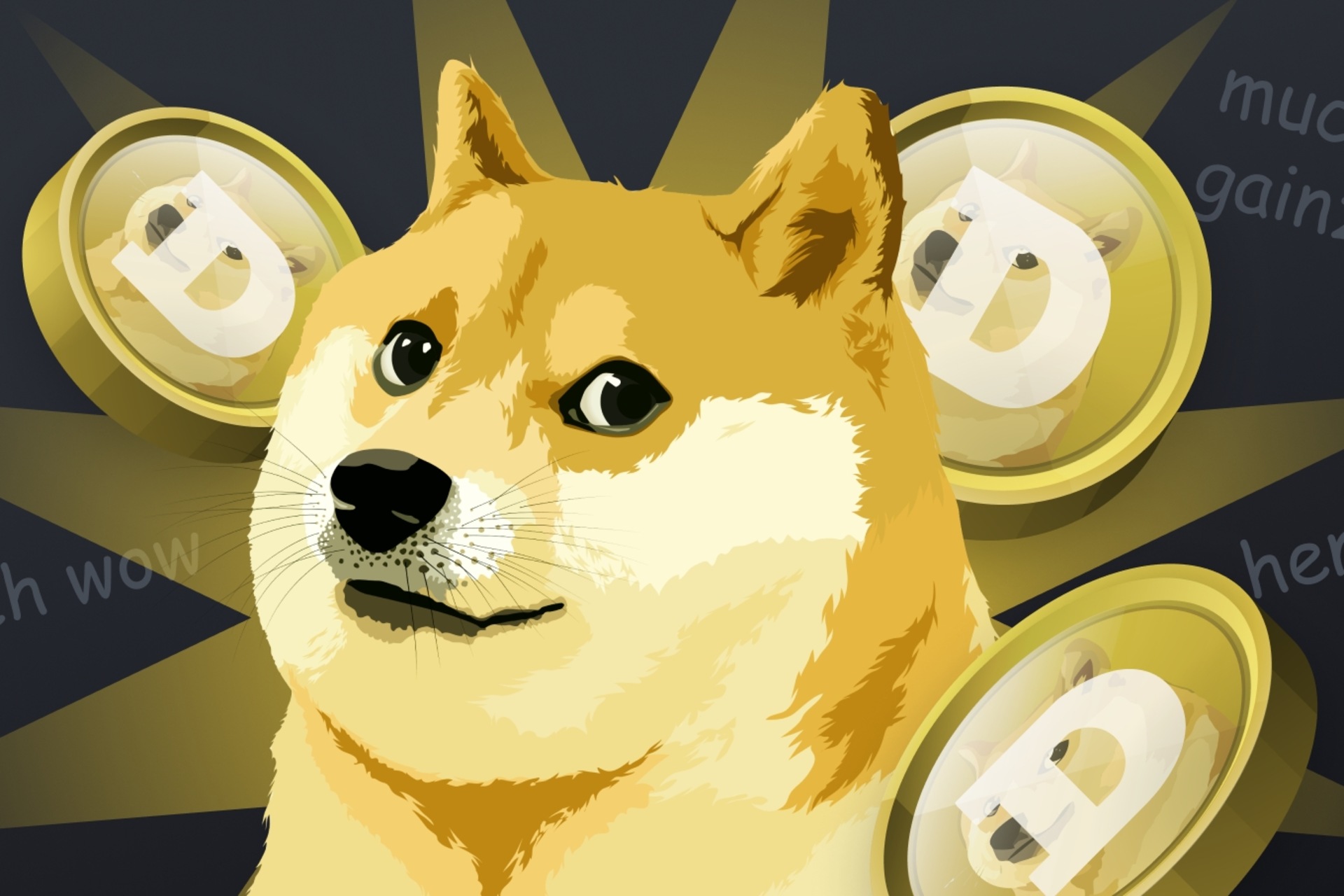 Memecoin: la criptovaluta Dogecoin