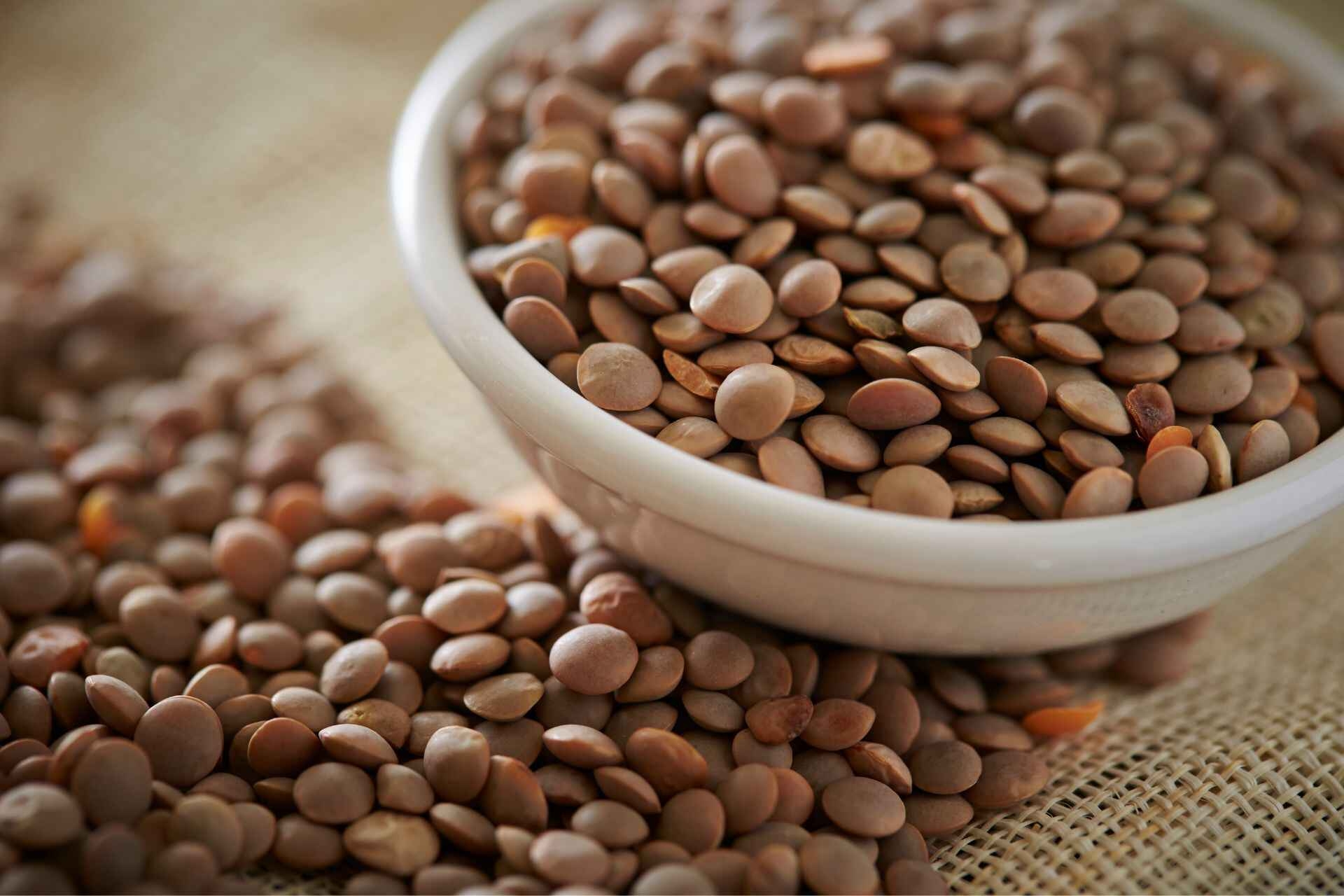 Dieta personalizada: as lentilhas são ricas em fibras, proteínas e ferro e são adequadas para todos