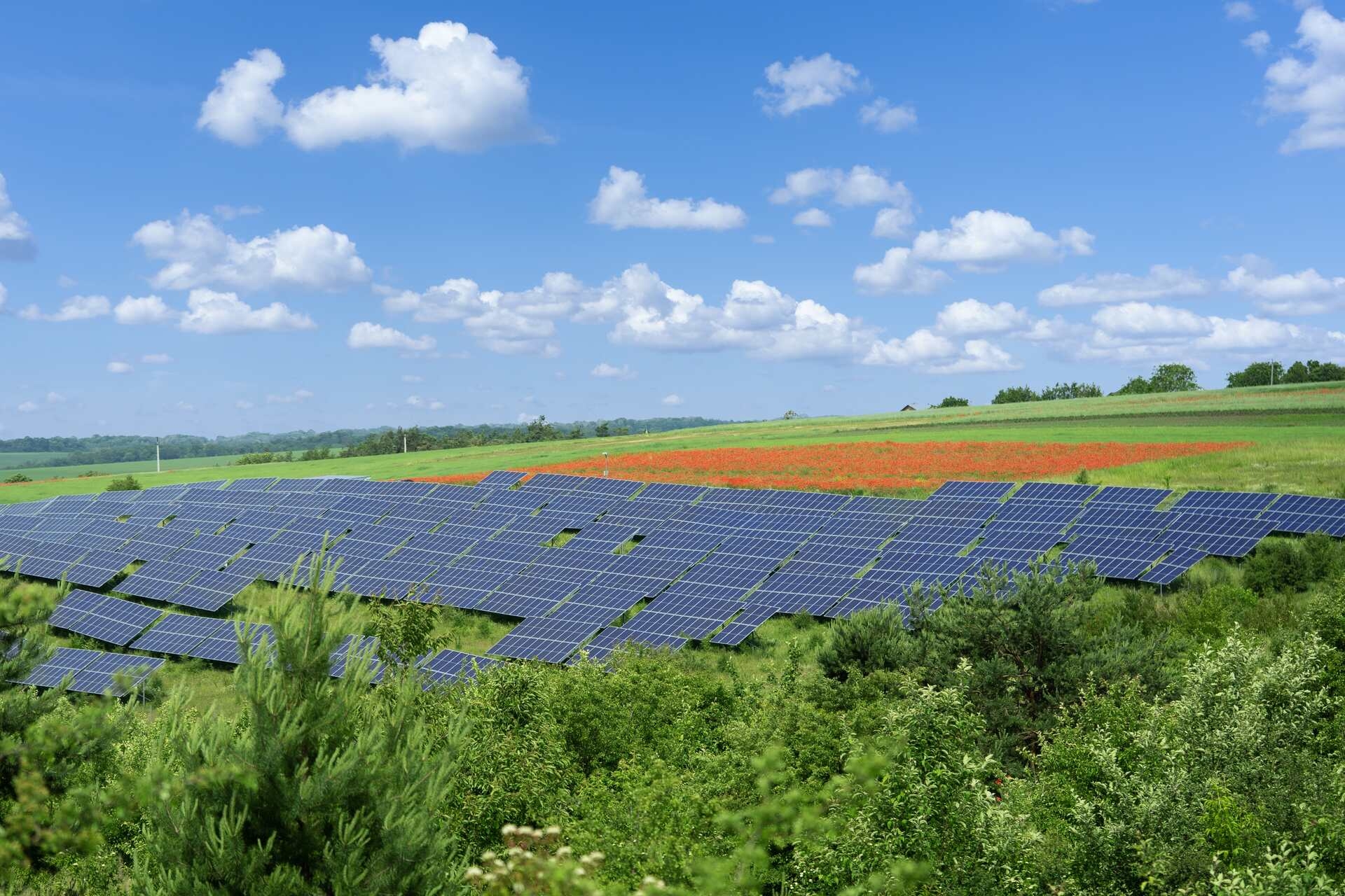 Fotovoltaico: il più grande impianto in autoconsumo d’Europa all’aeroporto di Fiumicino (Roma)