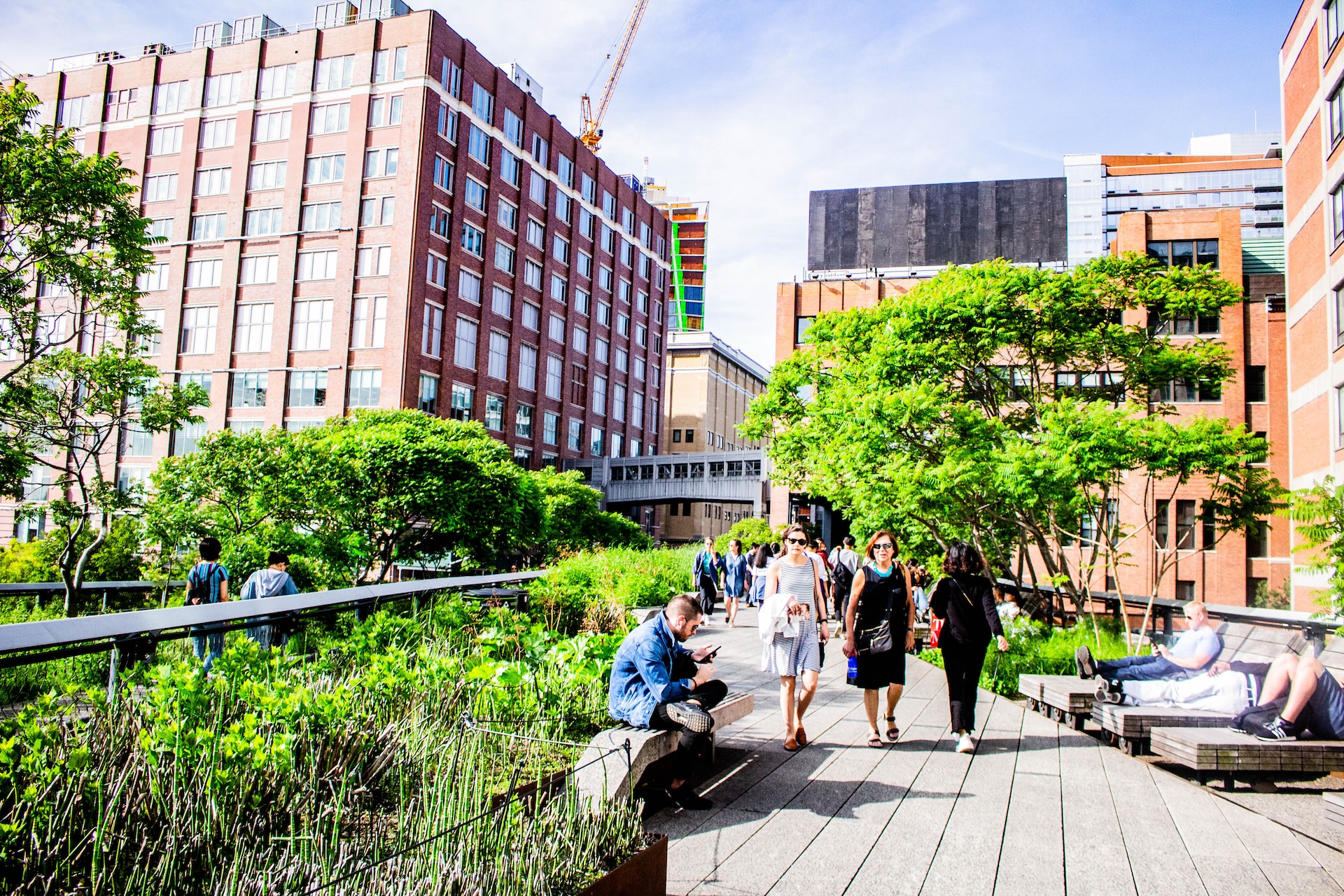 Foresta Romana: High Line 