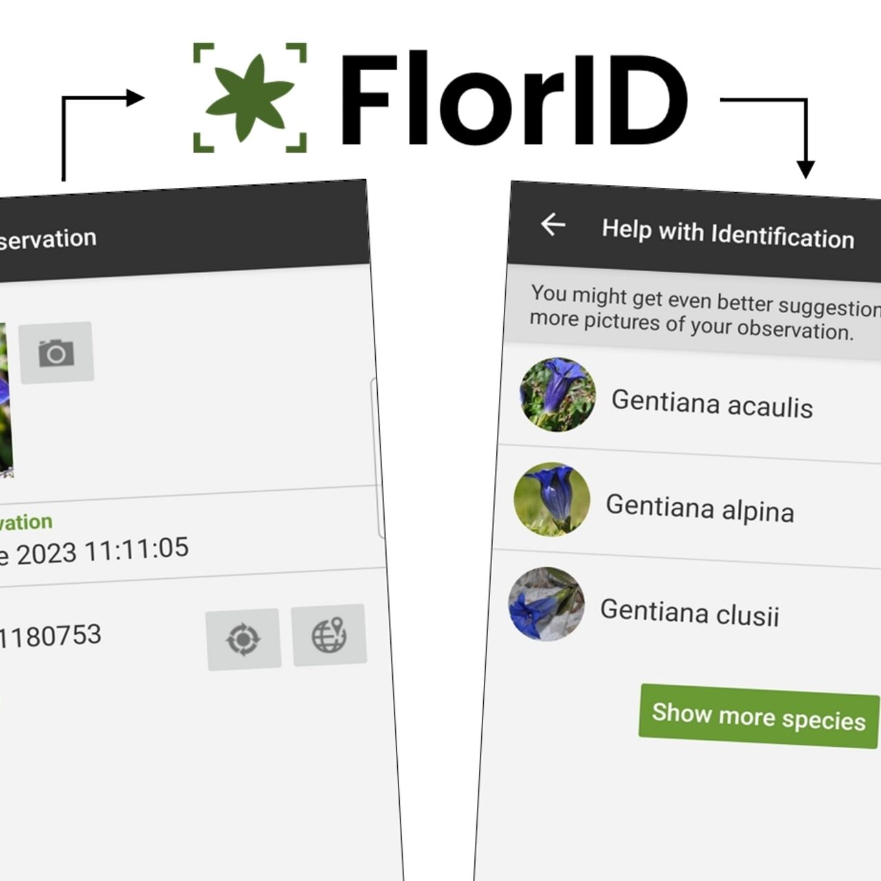 FlorApp: l’applicazione è disponibile per i sistemi operativi Android e iOS in inglese, tedesco, francese e italiano