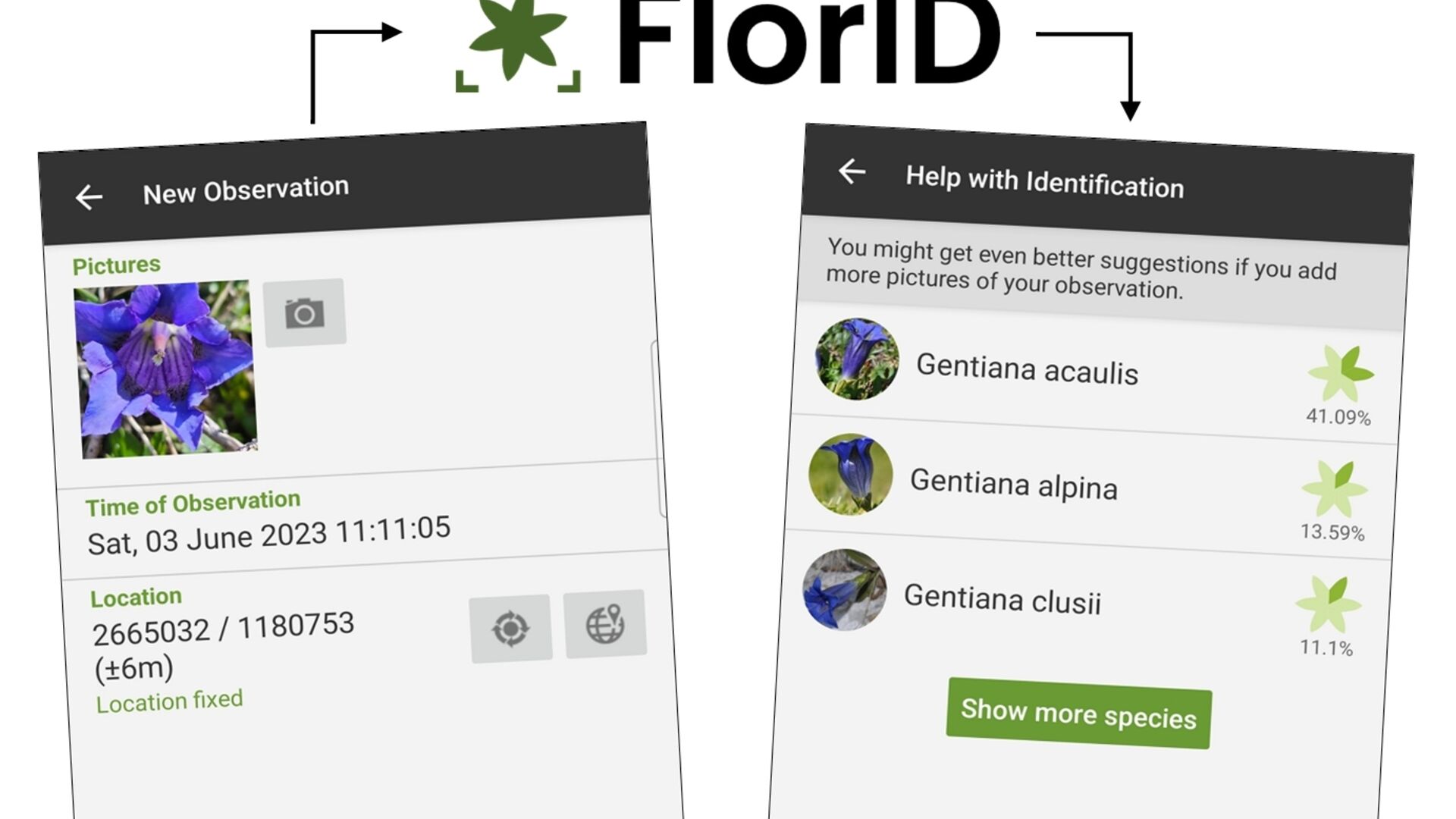 FlorApp: l’applicazione è disponibile per i sistemi operativi Android e iOS in inglese, tedesco, francese e italiano