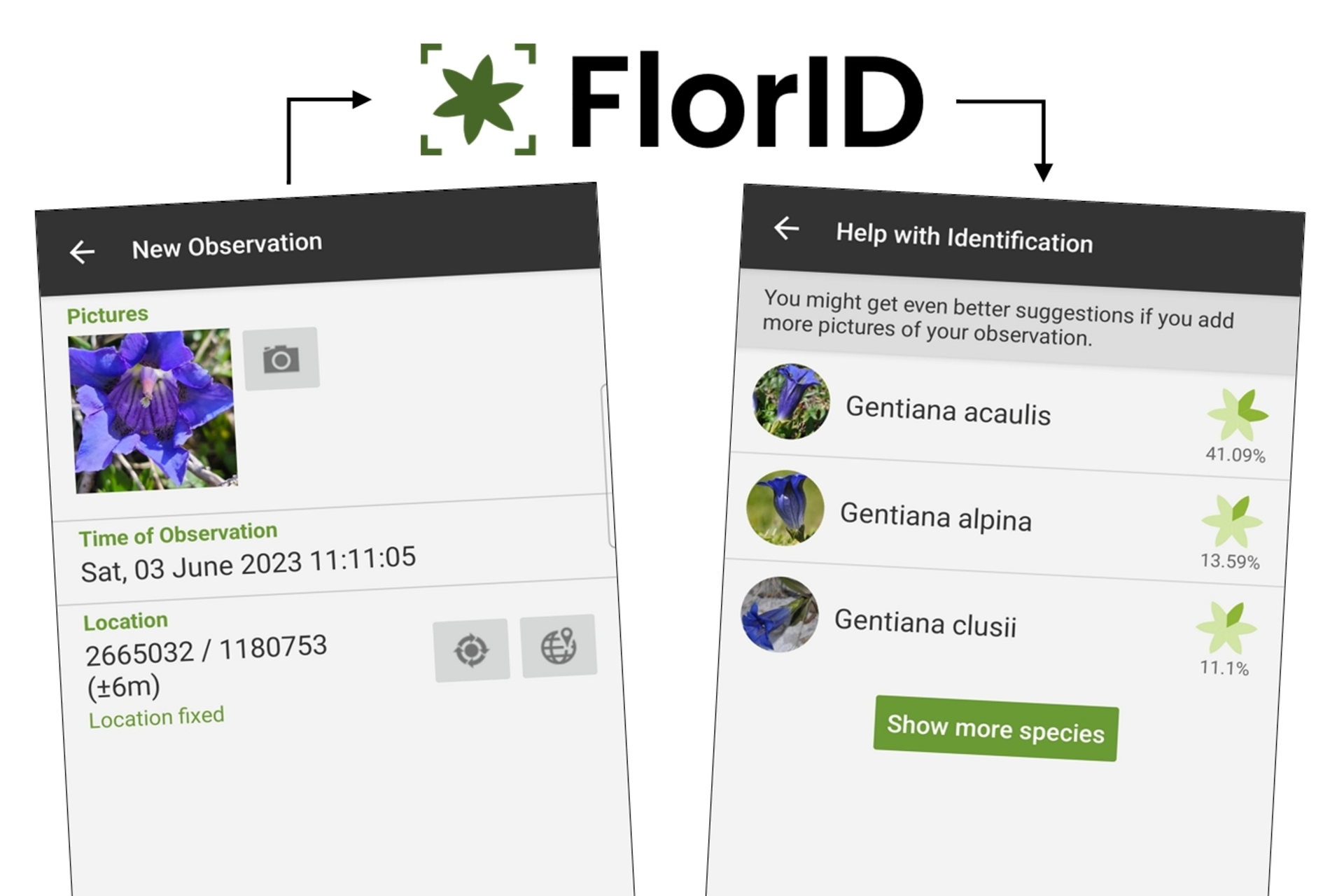 FlorApp: l'aplicació està disponible per als sistemes operatius Android i iOS en anglès, alemany, francès i italià