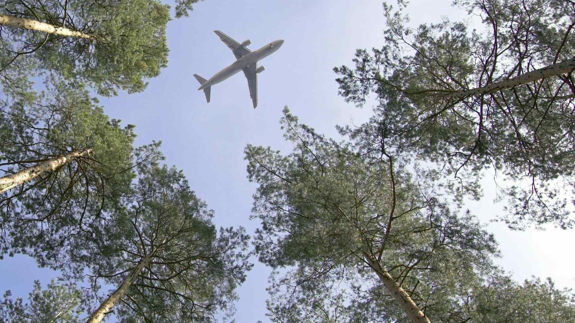 Schweizer Luftwaffe: Die Luftfahrt und die von ihr verwendeten Treibstoffe können einen wichtigen Beitrag zur Bekämpfung des Klimawandels leisten