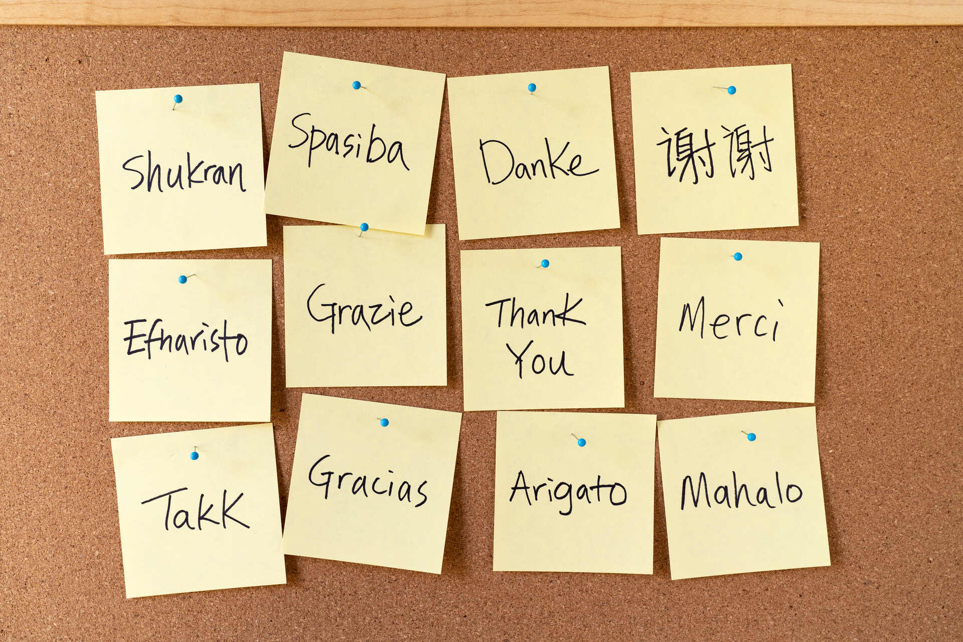 Multilingua: duecento idiomi sono usati dall'88 per cento della gente