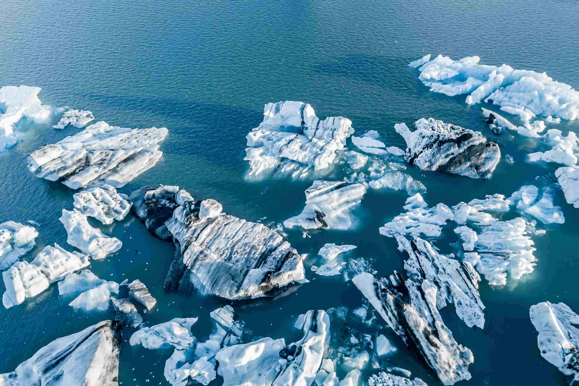 Nuovi ecosistemi terrestri e marini dallo scioglimento dei ghiacciai