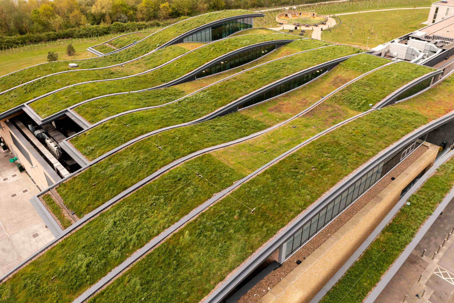 Cattura e stoccaggio del carbonio: tetto di fiori selvatici su una struttura a emissioni zero di carbonio