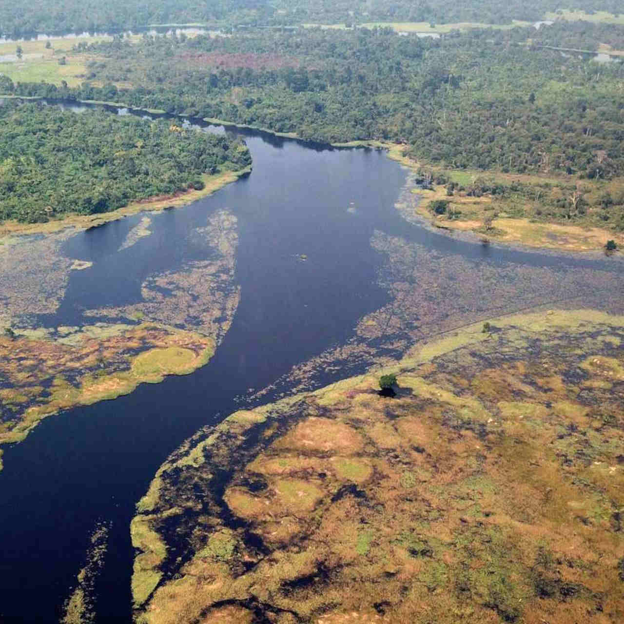 fiume più scuro del mondo: uno studio del Politecnico di Zurigo sul Ruki in Congo