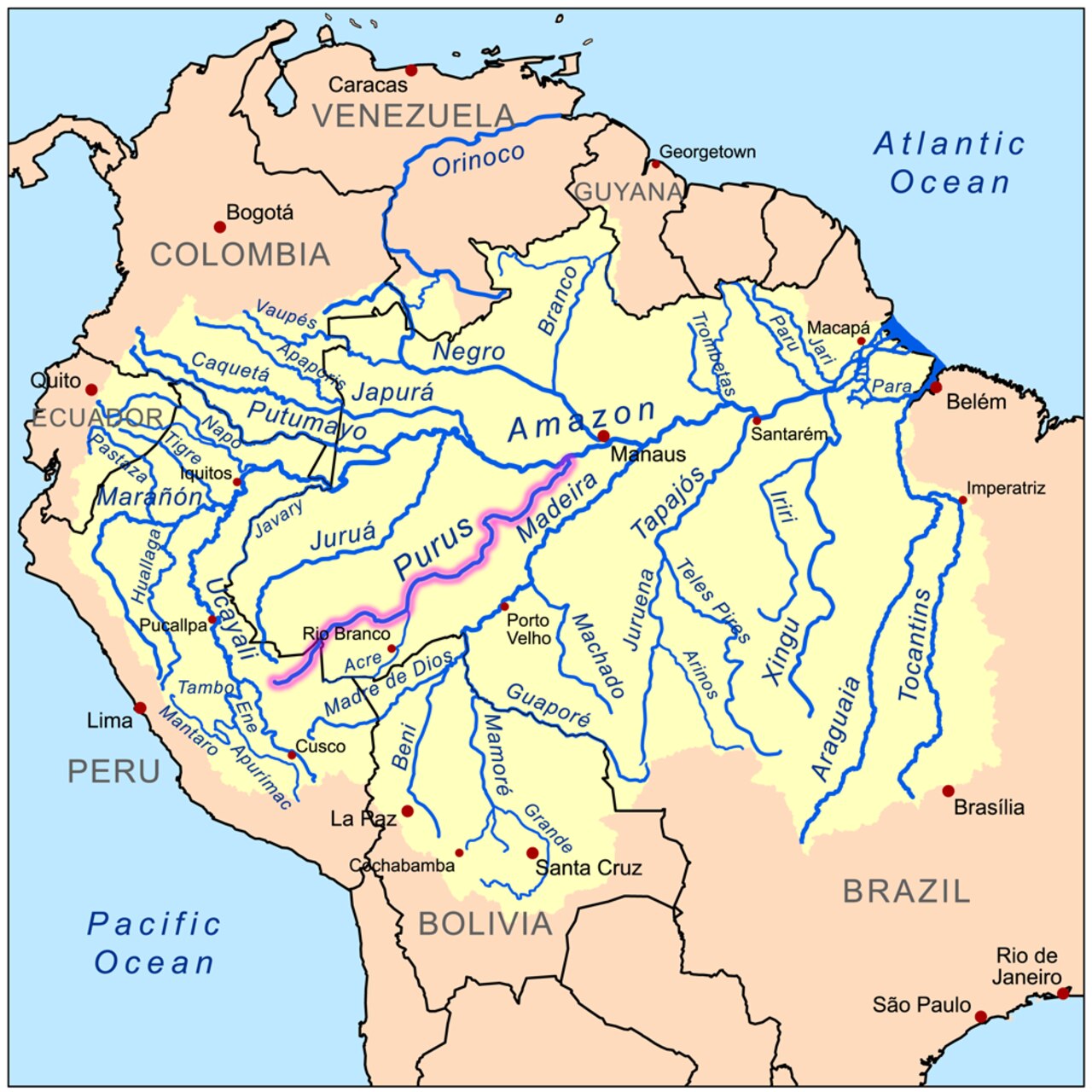 Intelligenza Artificiale: il Purus è un imponente fiume dell'America meridionale, il quale scorre per ben 3.211 chilometri verso nord-est per confluire infine nel Rio delle Amazzoni