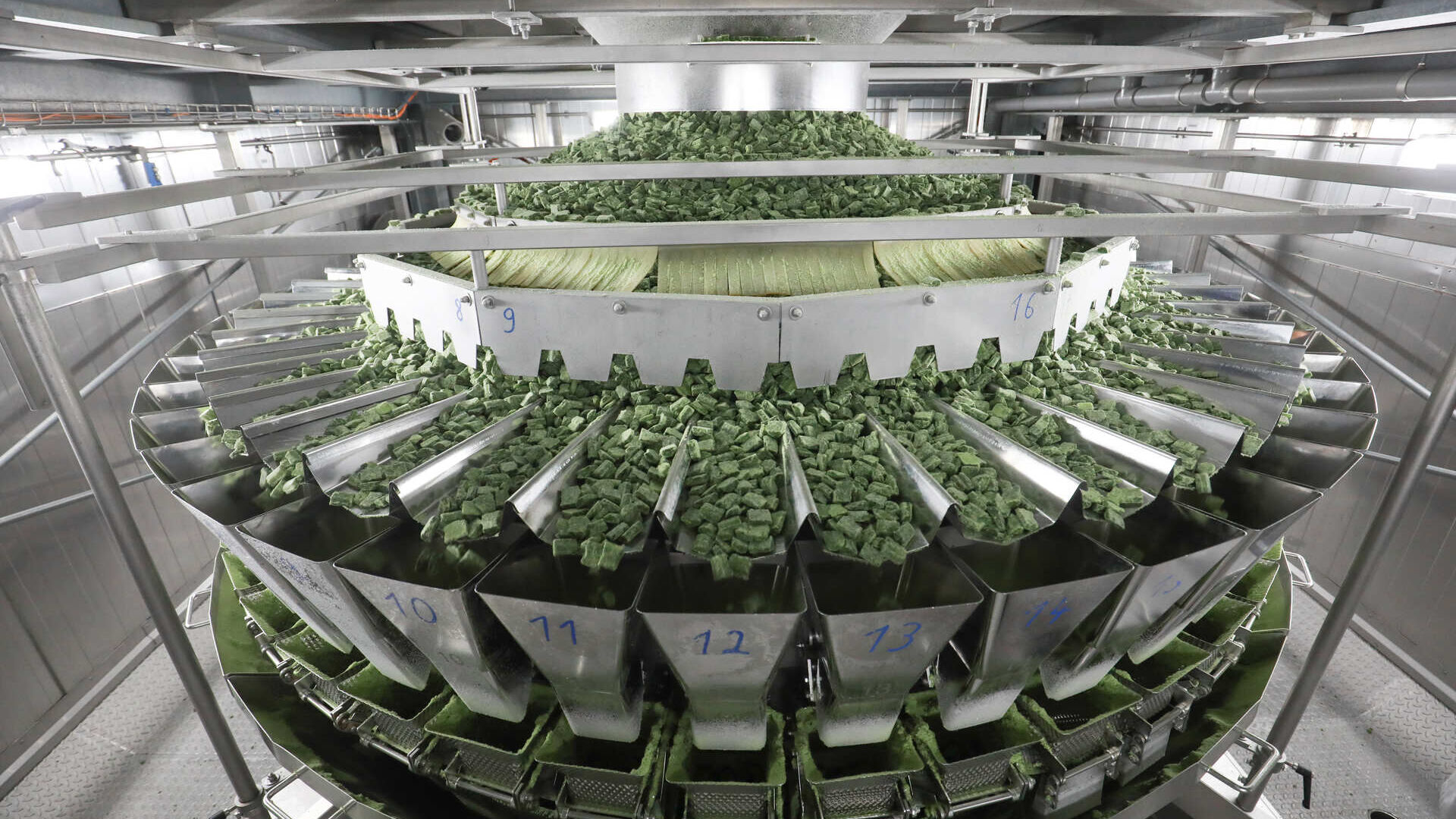 Surgelazione: spinaci della iglo in fabbrica