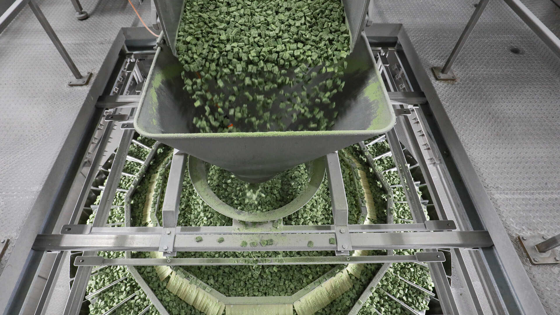 Surgelazione: spinaci della iglo in fabbrica