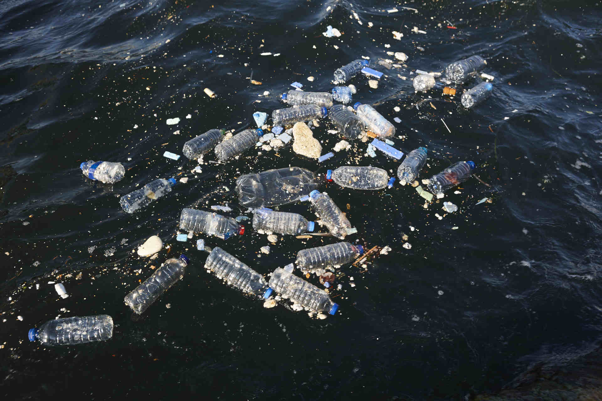 Plastica negli oceani: l'IA può fare la sua parte