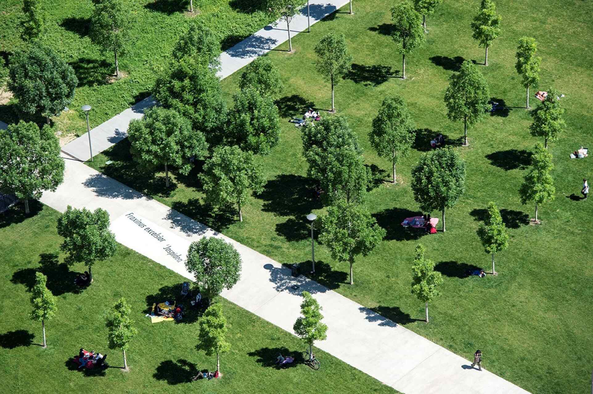 Volvo: ruang hijau Biblioteca degli Alberi Milano di distrik Portanuova, dimana Volvo telah menjadi Duta Taman selama lima tahun