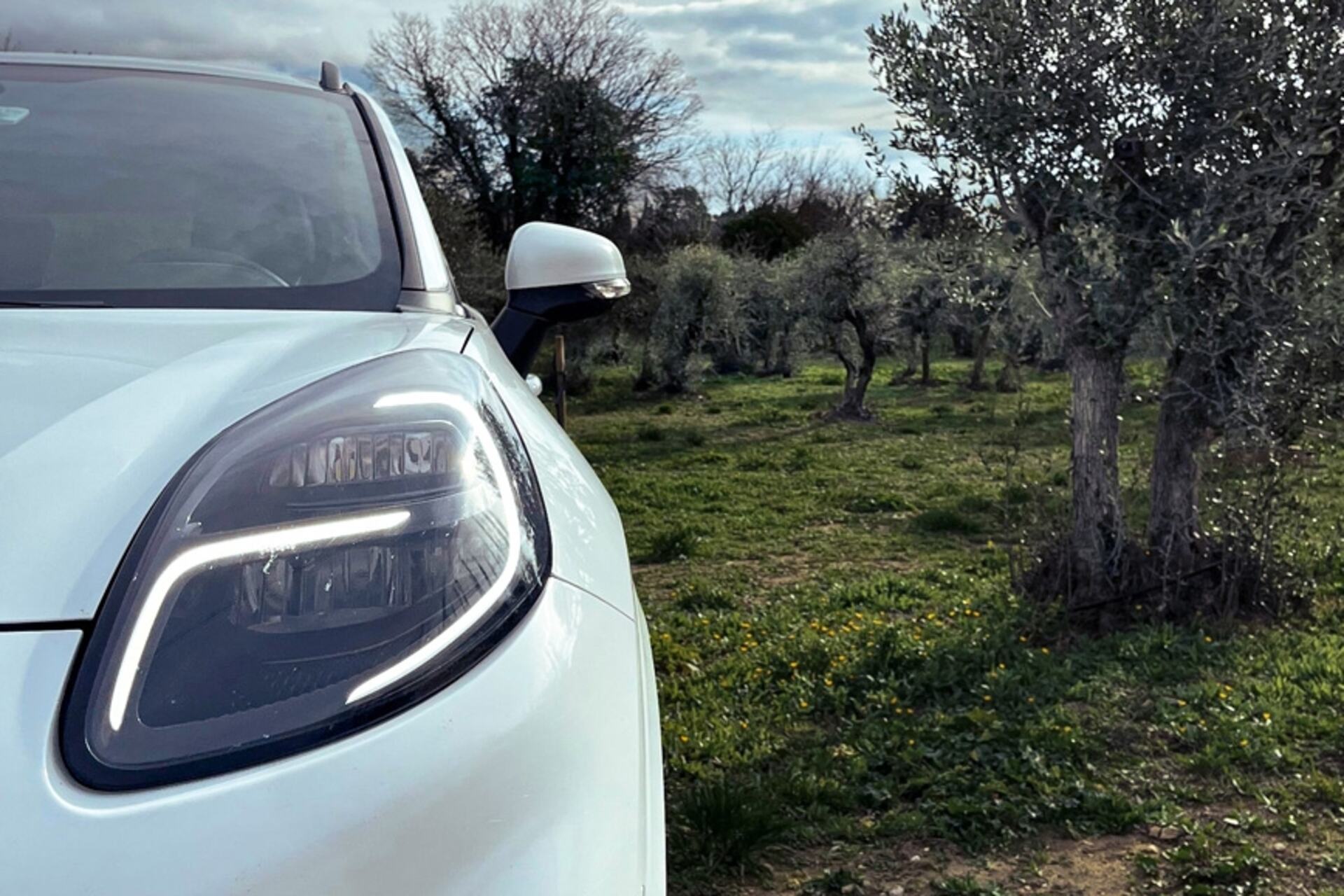 Olive: un veicolo Ford accanto a un albero di ulivo: il futuro è nei materiali biocompositi