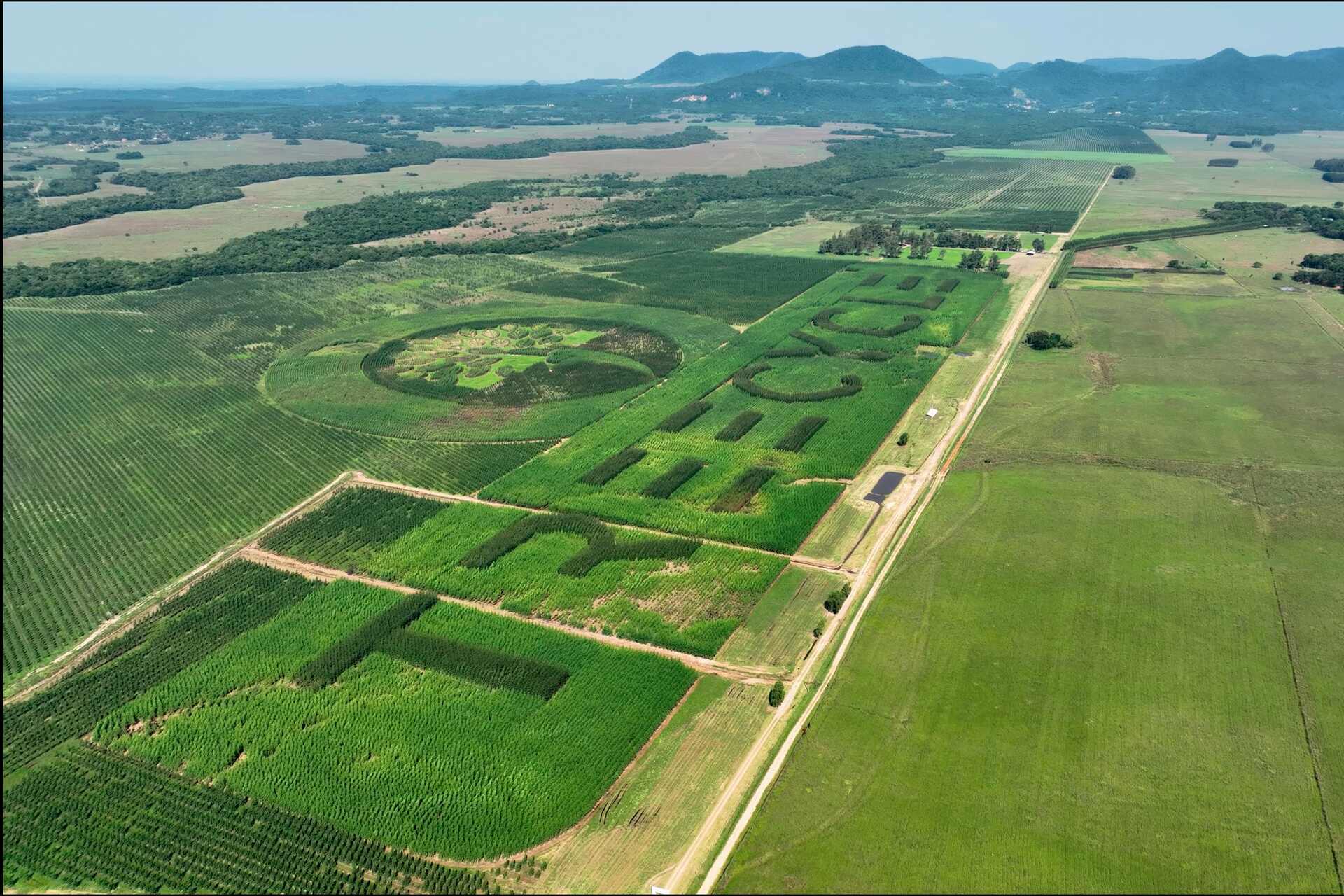 Global TREE жобасы: Парагвайда әлемдегі ең үлкен логотип 80.000 405.000 эвкалипт ағашынан тұрады және XNUMX XNUMX шаршы метр аумақты қамтиды