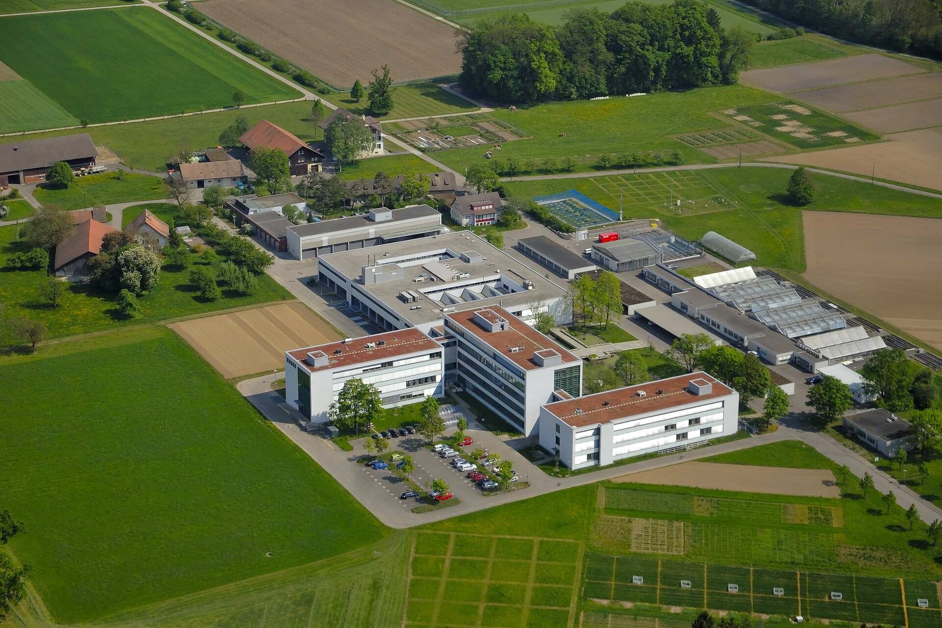Geneettisesti muunneltu ohra: Agroscope hankkii yli kolmen vuoden ajan tietoa kasvien käyttäytymisestä avopelloilla Reckenholzin alueella (Zürich) liittovaltion ympäristöviraston luvalla