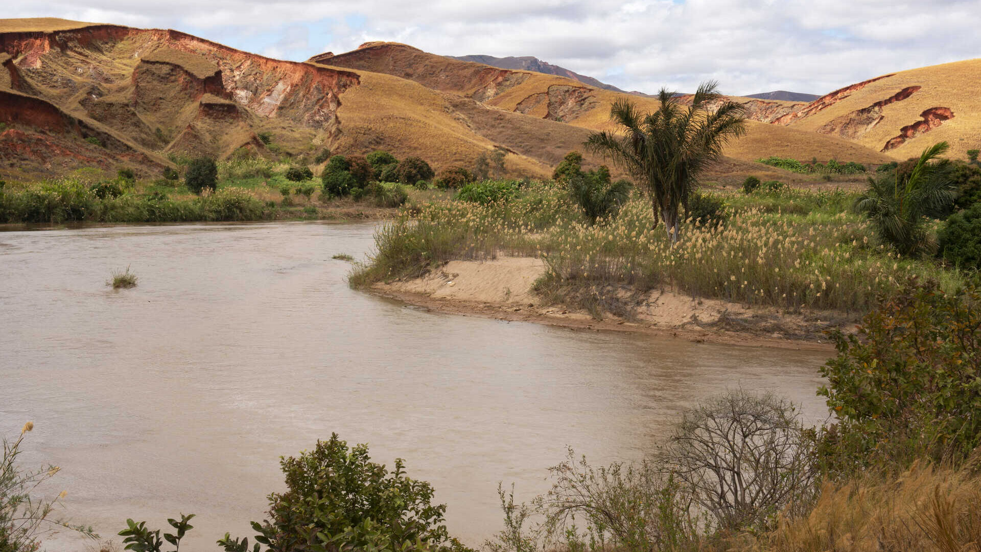 Madagaskar: nepravidelné zrážky a skalná erózia zohrávajú rozhodujúcu úlohu pri výskyte a vývoji nových druhov