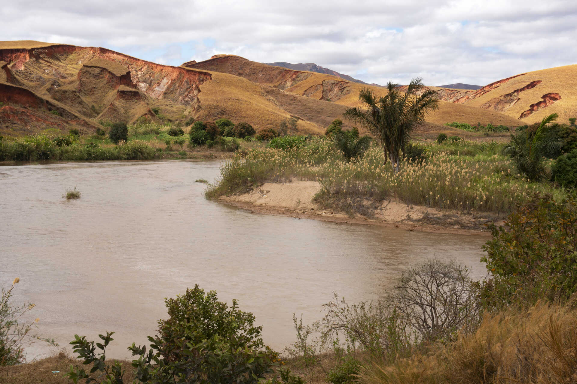 Madagaskar: uregelmæssig nedbør og stenerosion spiller en afgørende rolle i udseendet og udviklingen af ​​nye arter