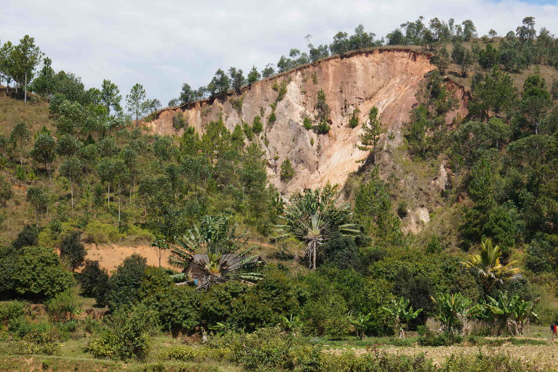 Мадагаскар: нередовните валежи и ерозията на скалите играят решаваща роля за появата и развитието на нови видове