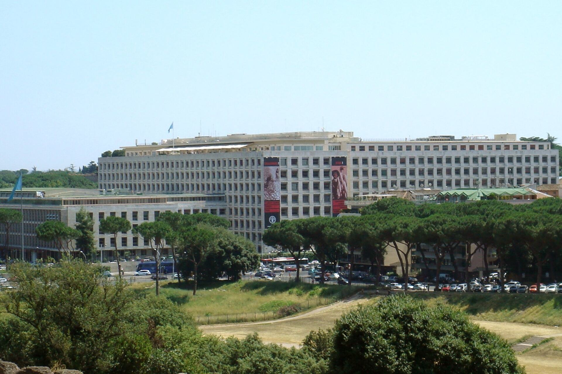 Генетикалық әртүрлілік: ФАО-ның Римдегі штаб-пәтері