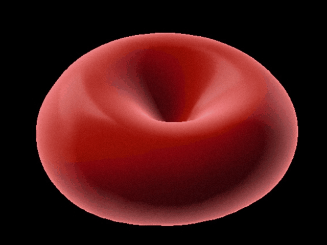 Červené krvinky: Holotomografická mikroskopia zachytila ​​premenu zdravého erytrocytu na echinocyt po kontakte s ibuprofénom
