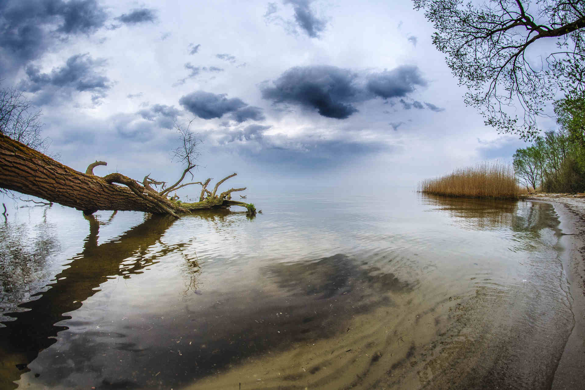 Der am stärksten bedrohte See im Jahr 2024 ist das Stettiner Haff